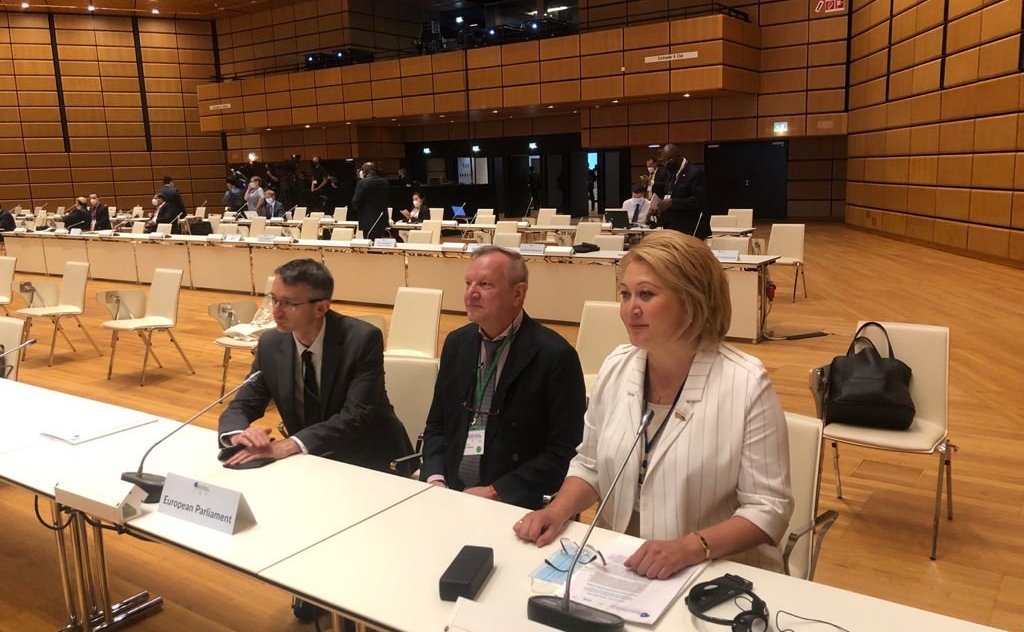 Лилия Гумерова выступила в ходе тематической панельной дискуссии «Парламенты и глобальное управление: незавершенная повестка дня», состоявшейся в рамках 5-й Всемирной конференции спикеров парламентов в Вене