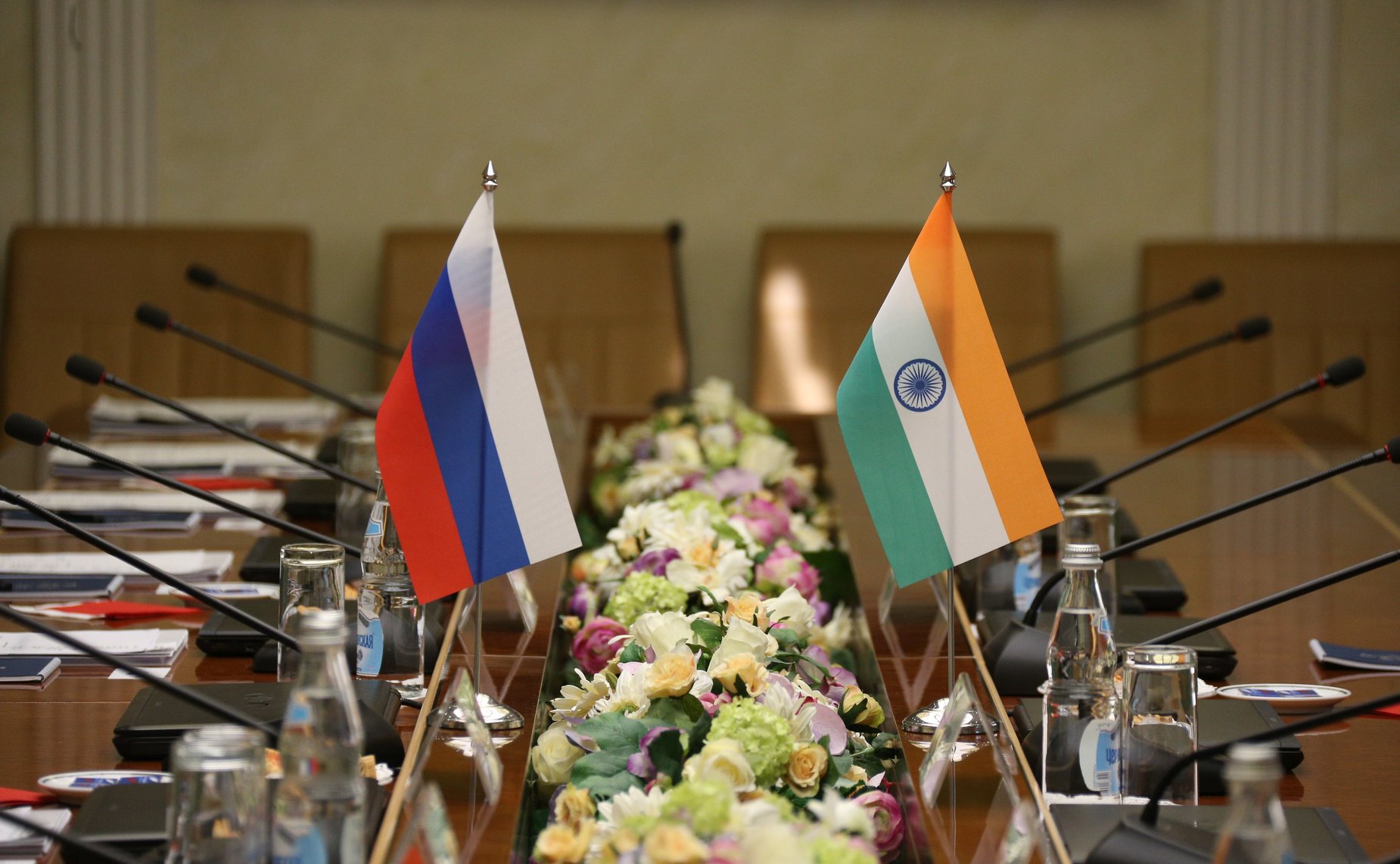 Встреча Елены Афанасьевой с Чрезвычайным и Полномочным Послом Республики Индии в РФ Д.Б. Венкатешем Вармой