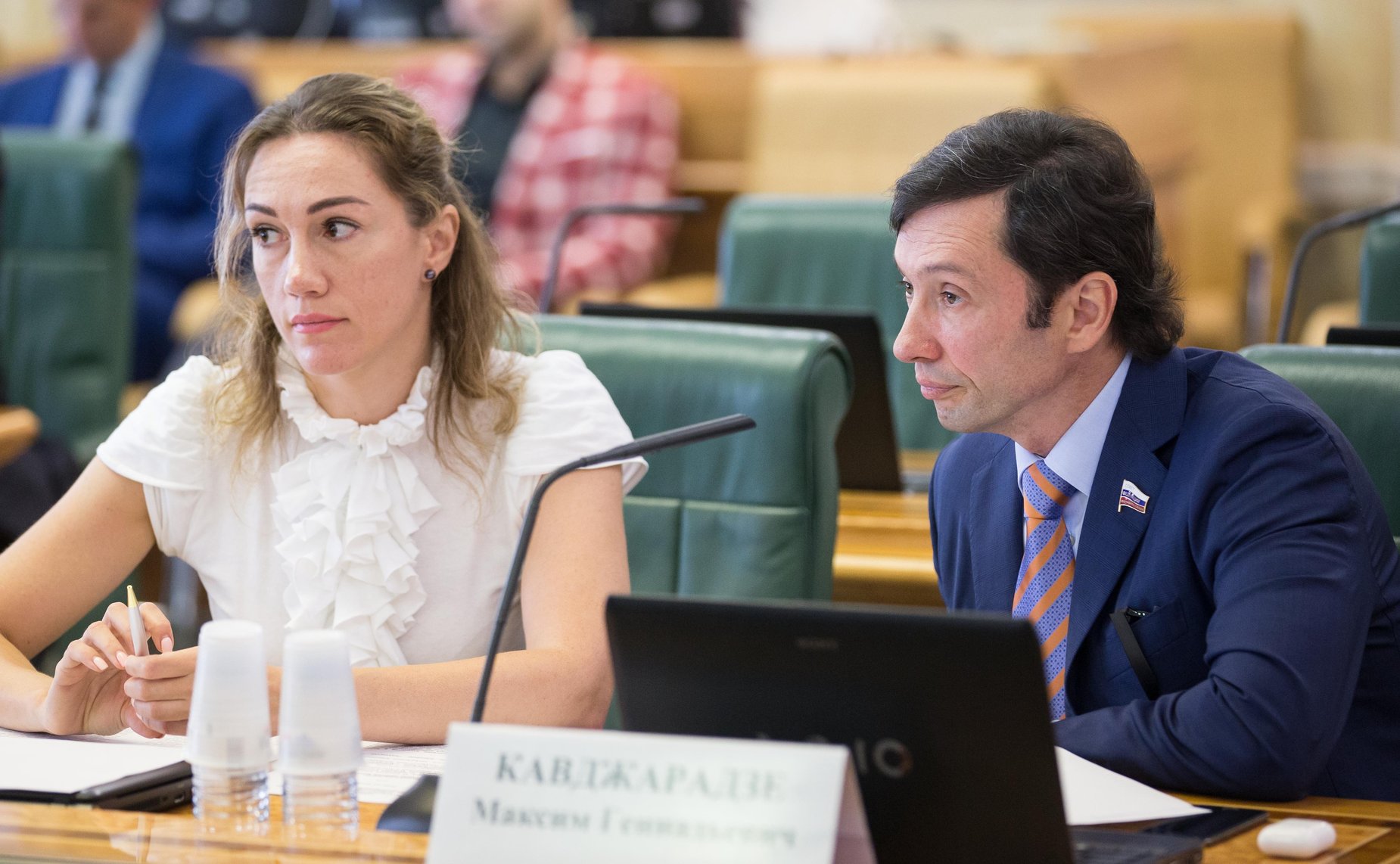 Заседание Комитета СФ по конституционному законодательству и государственному строительству