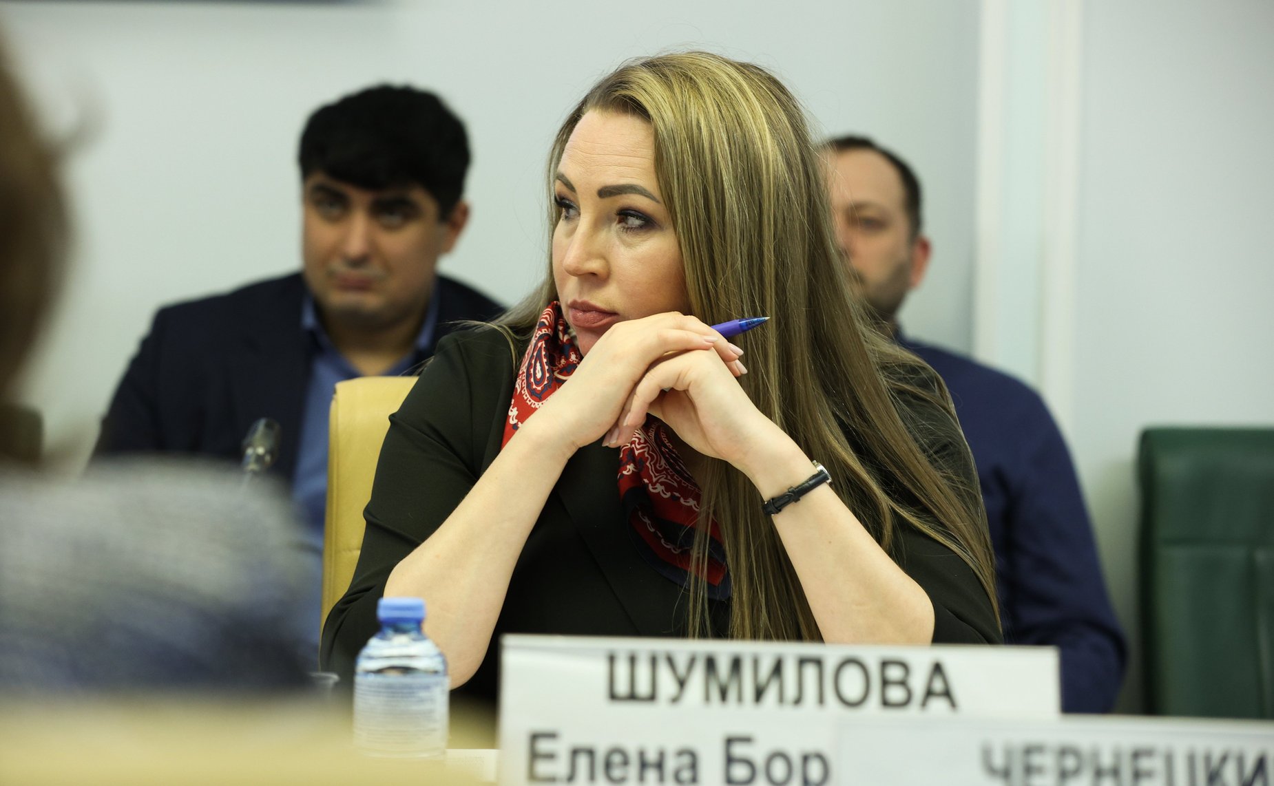 Елена Шумилова