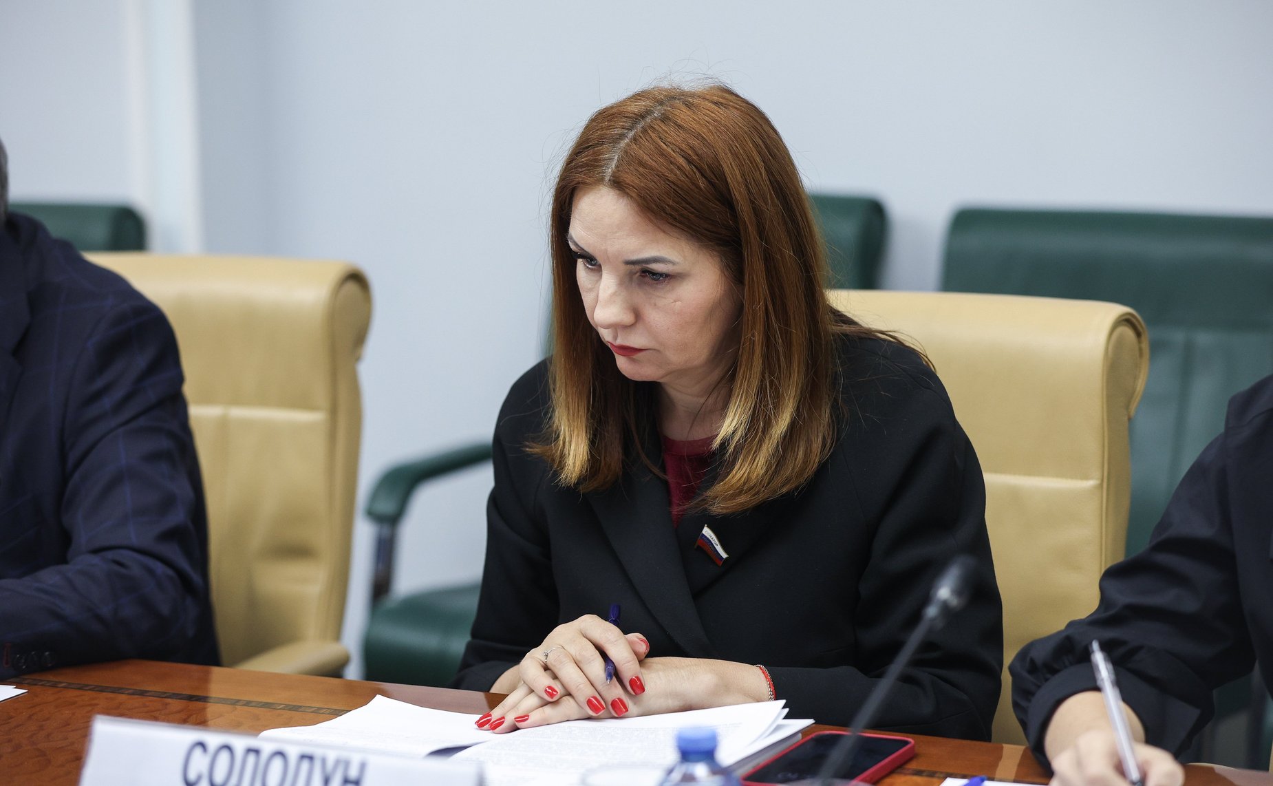 Круглый стол СФ по федеративному устройству, региональной политике, МСУ и делам Севера «Архитектурный облик городов: проблемы и пути их решения»