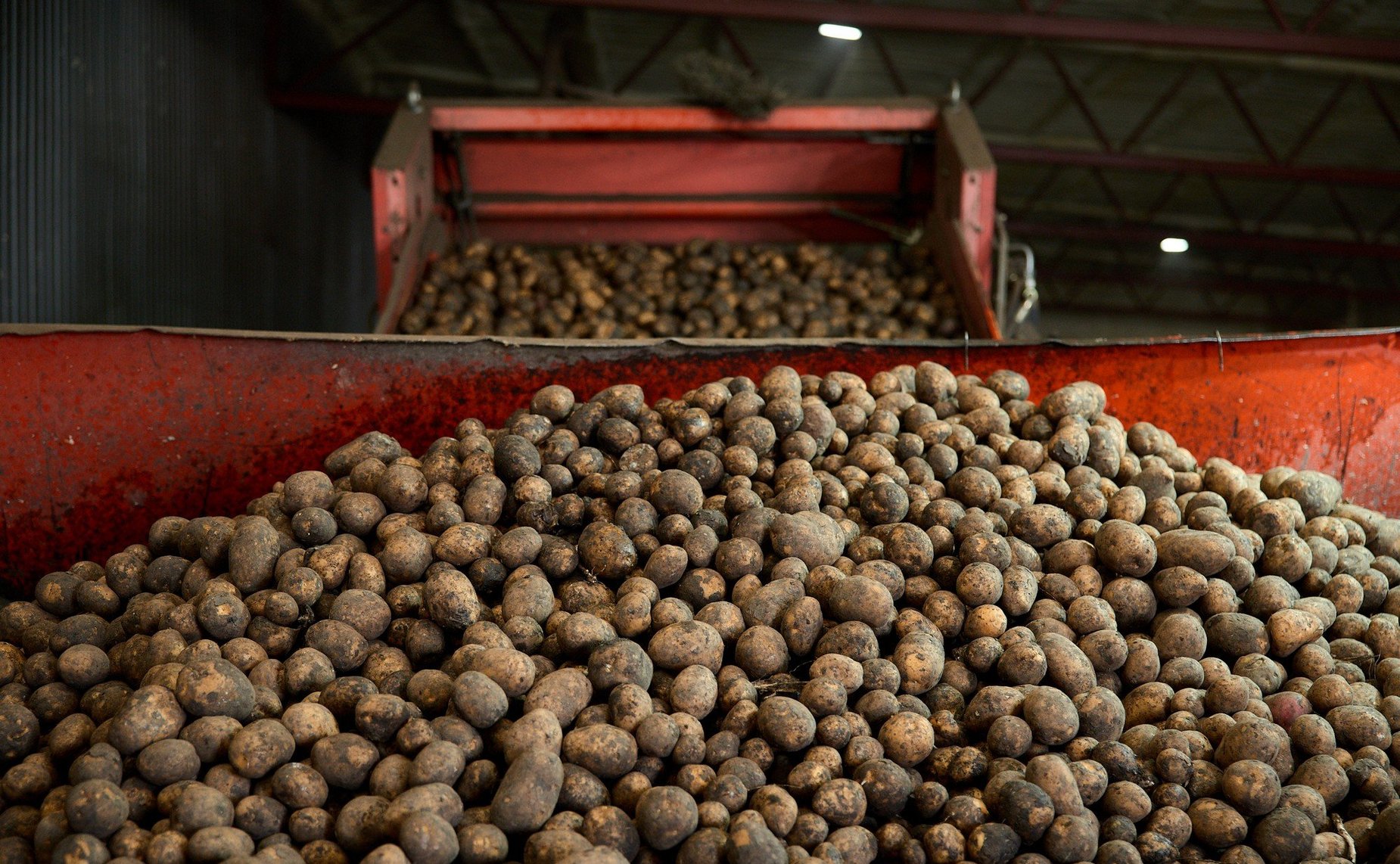 Ольга Щетинина в ходе поездки в регион посетила Арзамасский округ