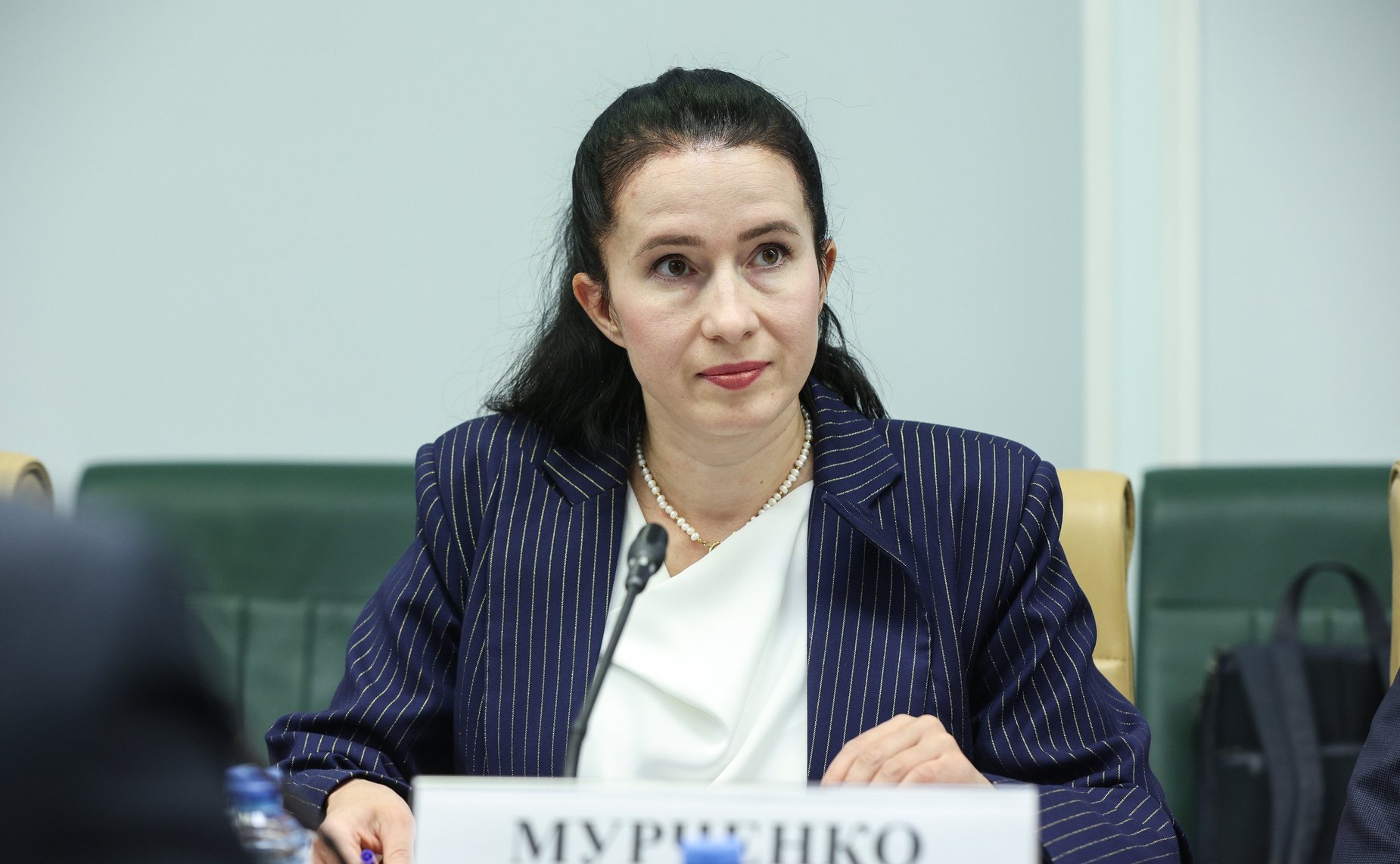 Круглый стол Комитета СФ по экономической политике