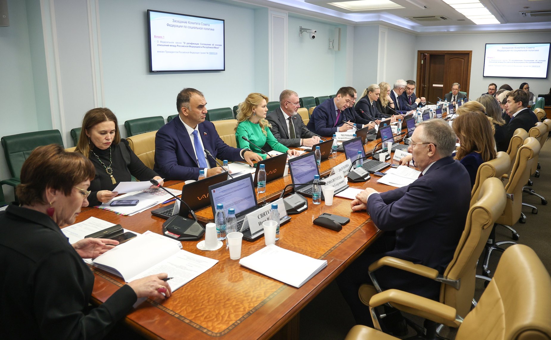 Заседание Комитета Совета Федерации по социальной политике
