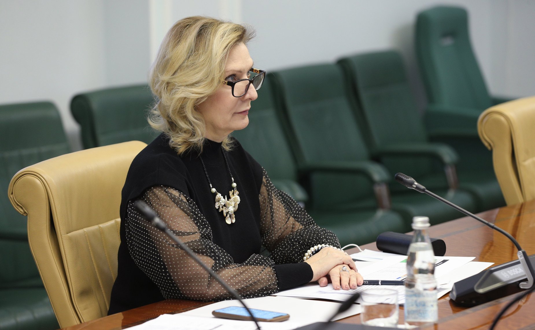 Выступление председателя Комитета СФ по социальной политике Инны Святенко на Встрече женщин-парламентариев (АТПФ)