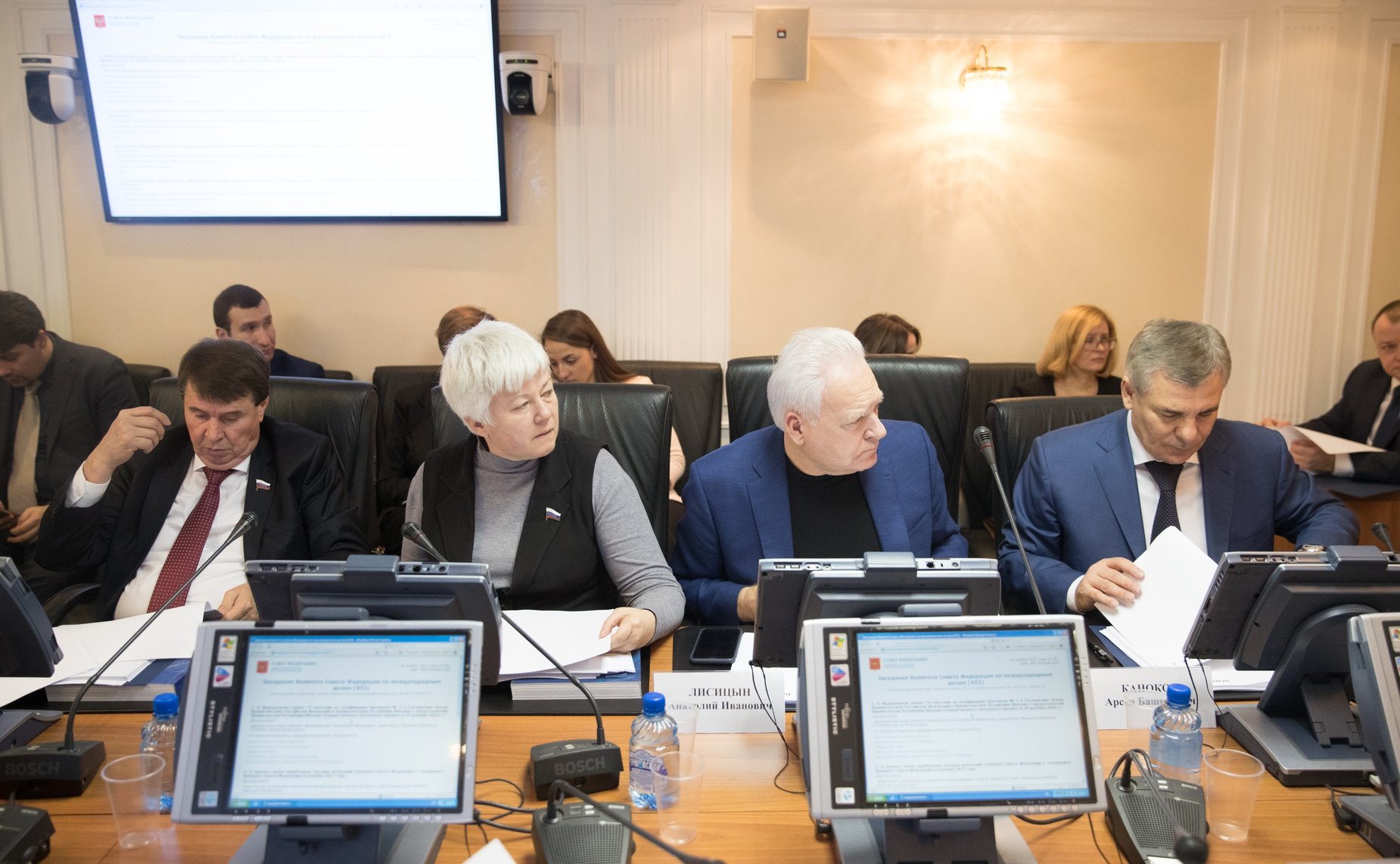 Заседание Комитета СФ по международным делам