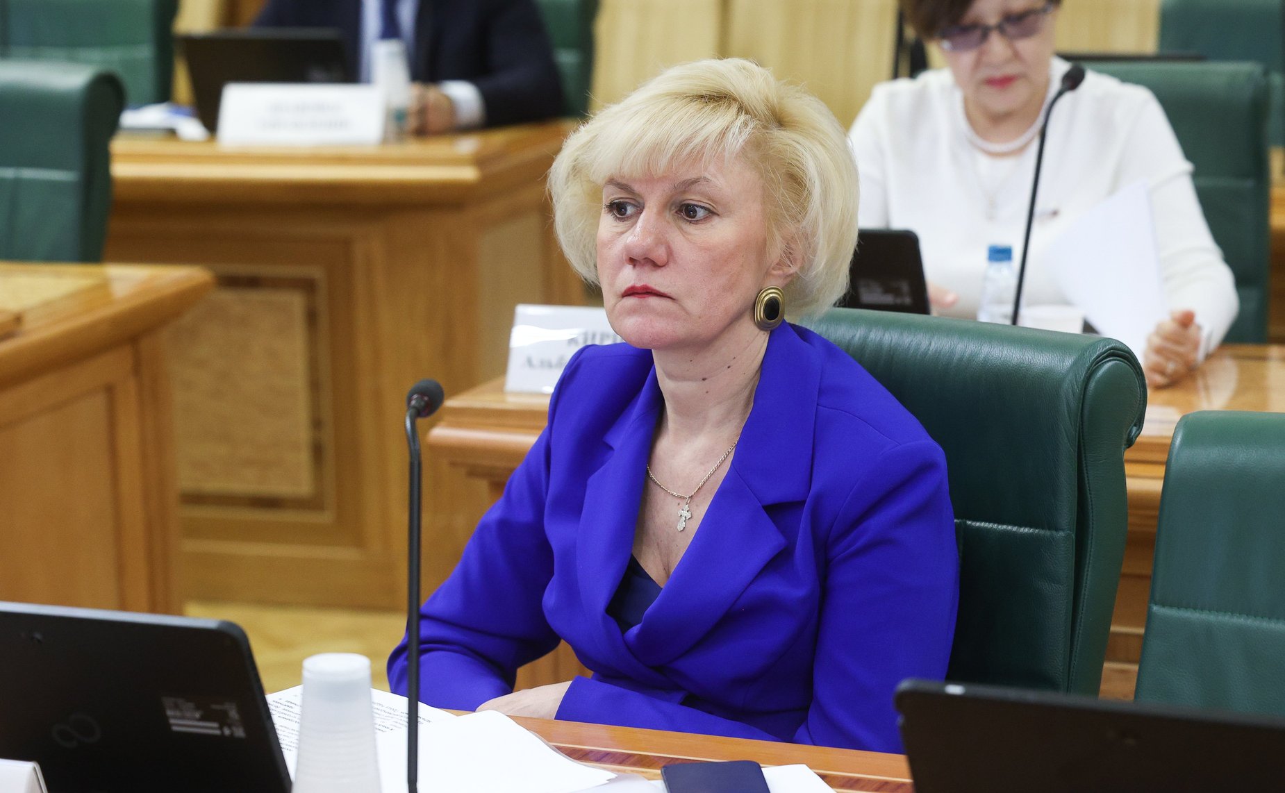 Заседание Комитета Совета Федерации по науке, образованию и культуре