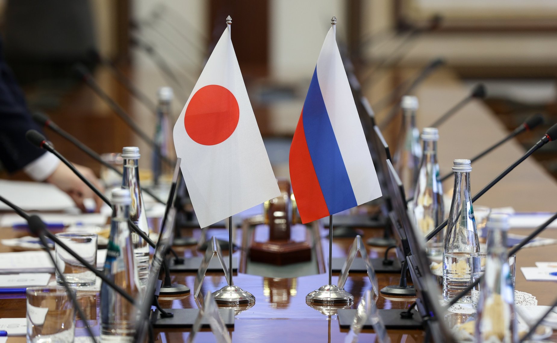 Встреча Григория Карасина с депутатом Палаты советников Парламента Японии