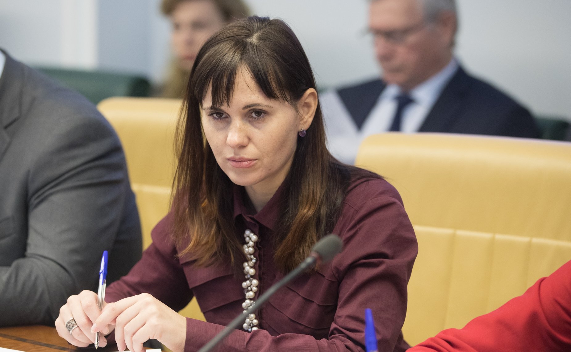 «Круглый стол» Комитета СФ по социальной политике на тему «Эффективные механизмы вывода части туристической отрасли из теневого сектора»