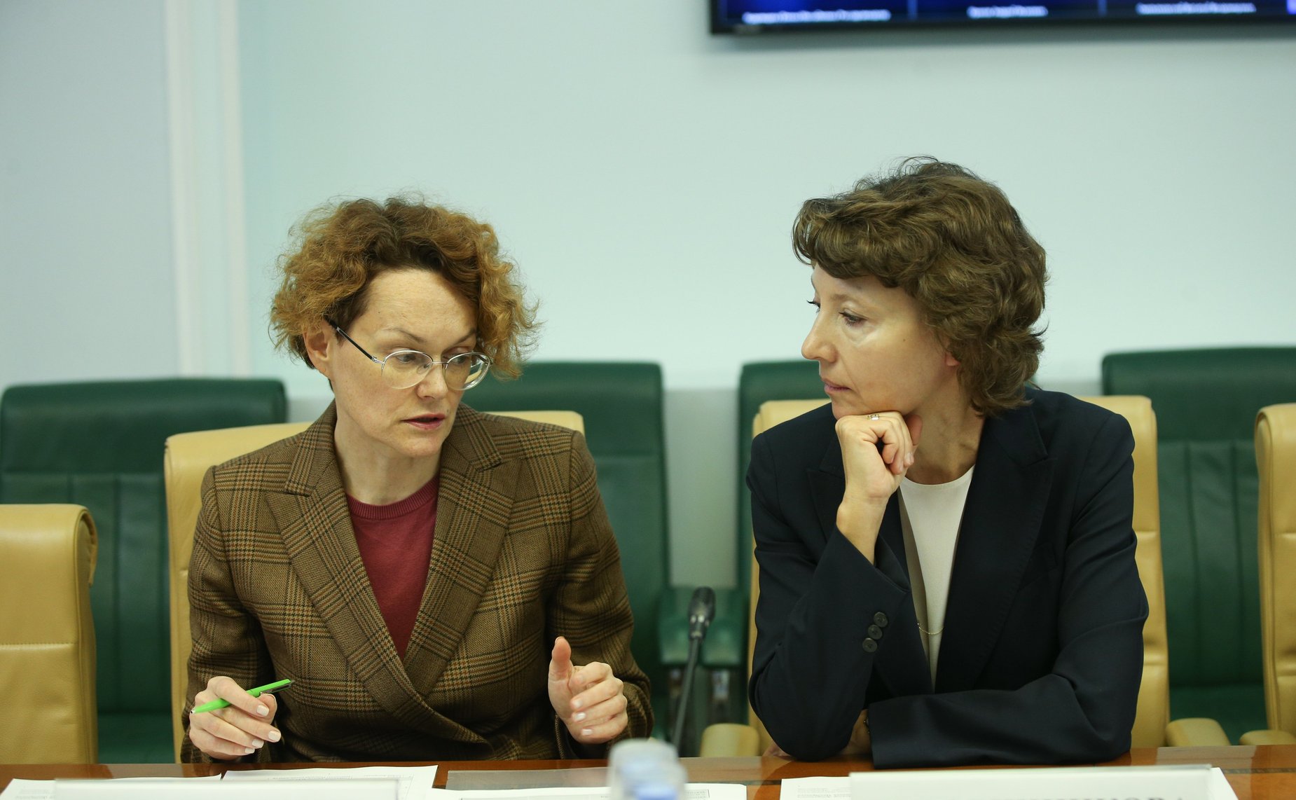 Заседание Экспертного совета по здравоохранению при Комитете СФ по социальной политике