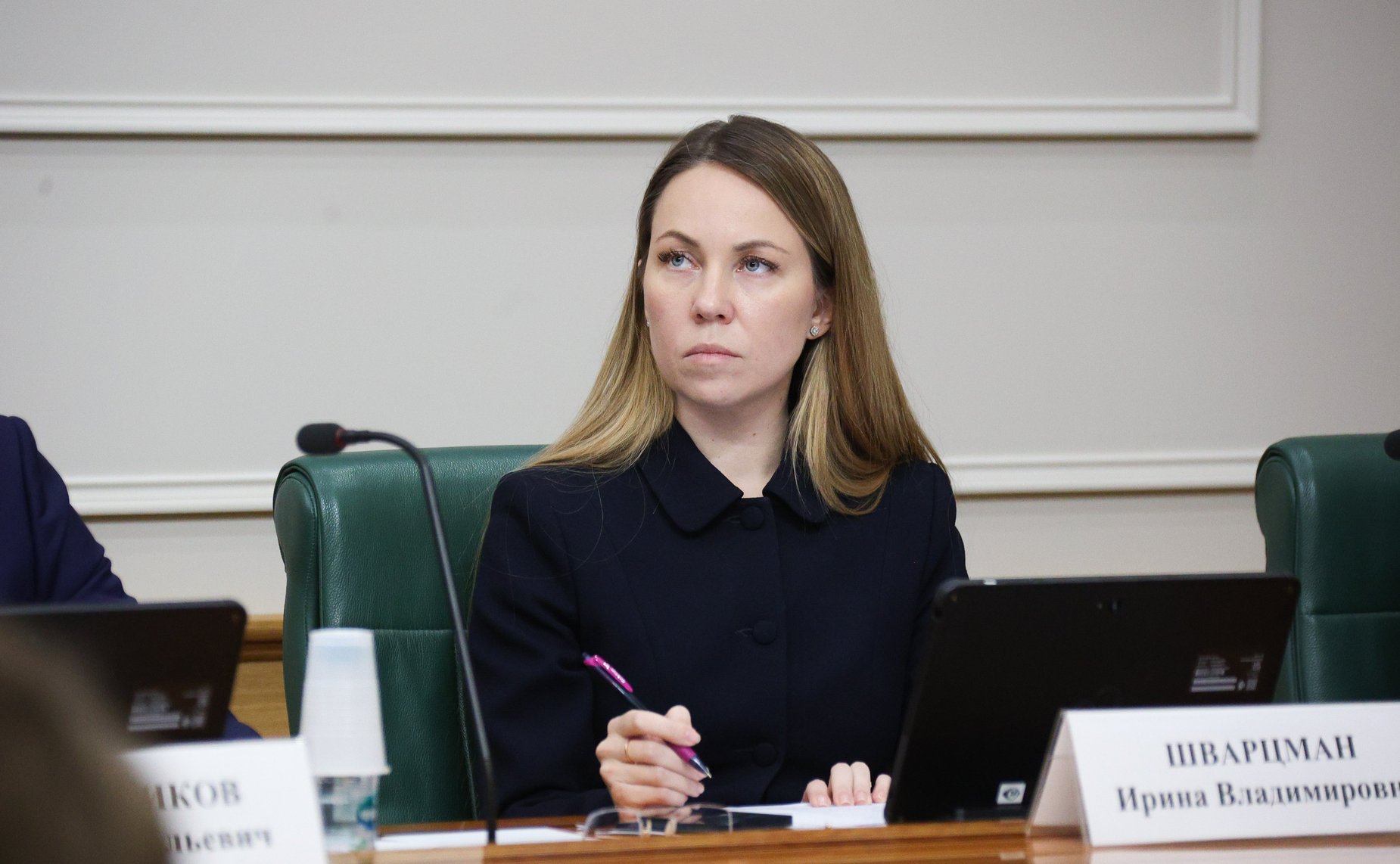 Заседание Экспертного совета при Совете при Президенте России по реализации государственной демографической и семейной политики