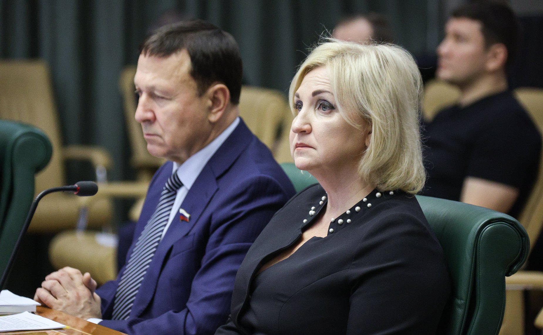 Заседание Совета по вопросам развития Дальнего Востока, Арктики и Антарктики при СФ