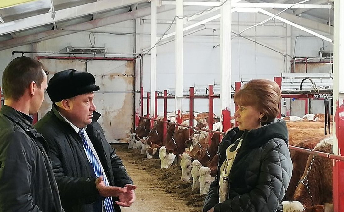 Татьяна Гигель в ходе рабочей командировки по региону побывала на новой ферме в селе Гусевка Чойского района