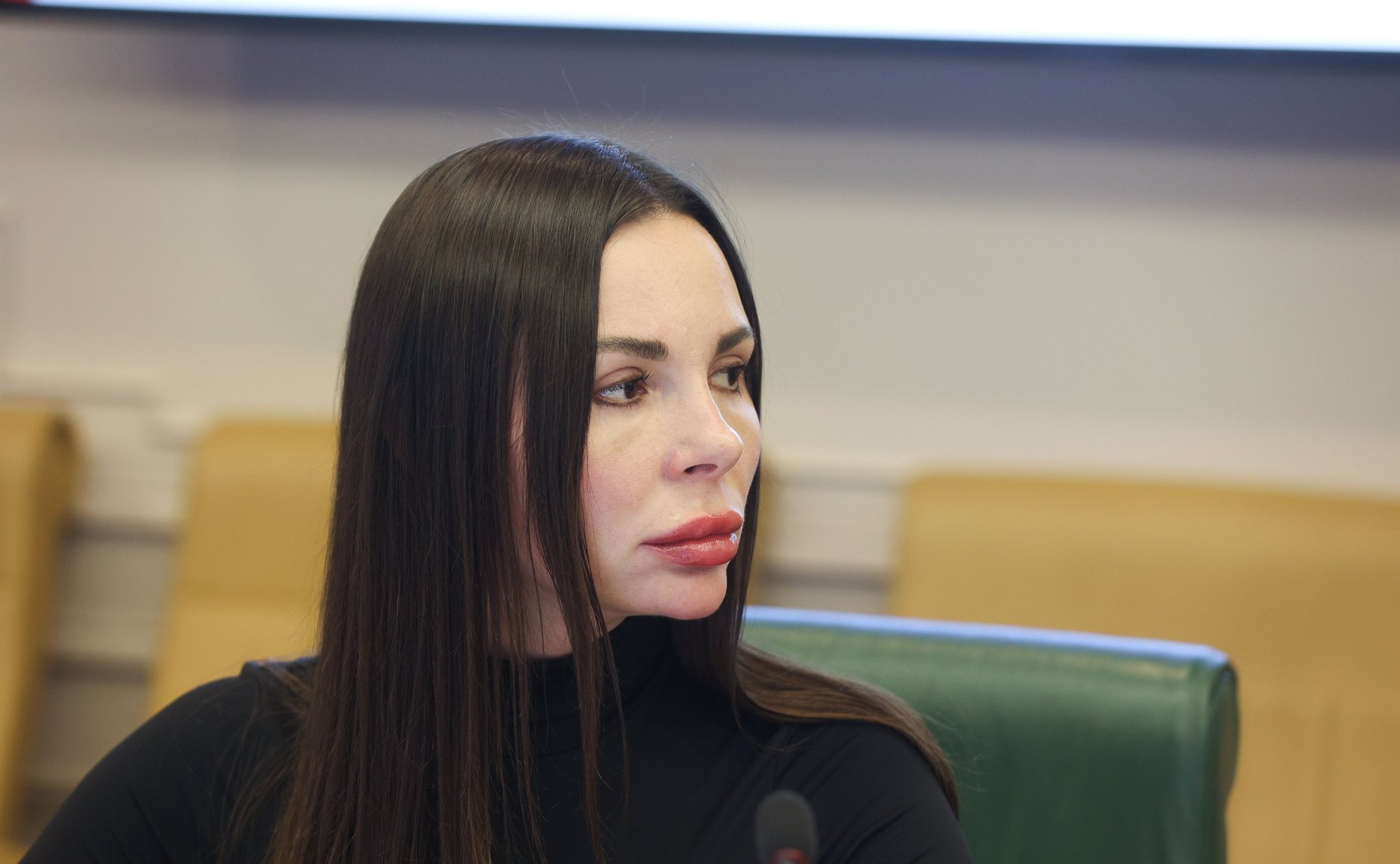 Круглый стол на тему «Актуальные вопросы обеспечения последовательной и обоснованной гуманизации уголовного законодательства Российской Федерации»