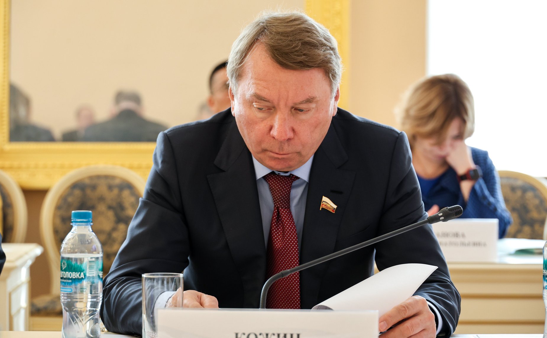 Владимир Кожин