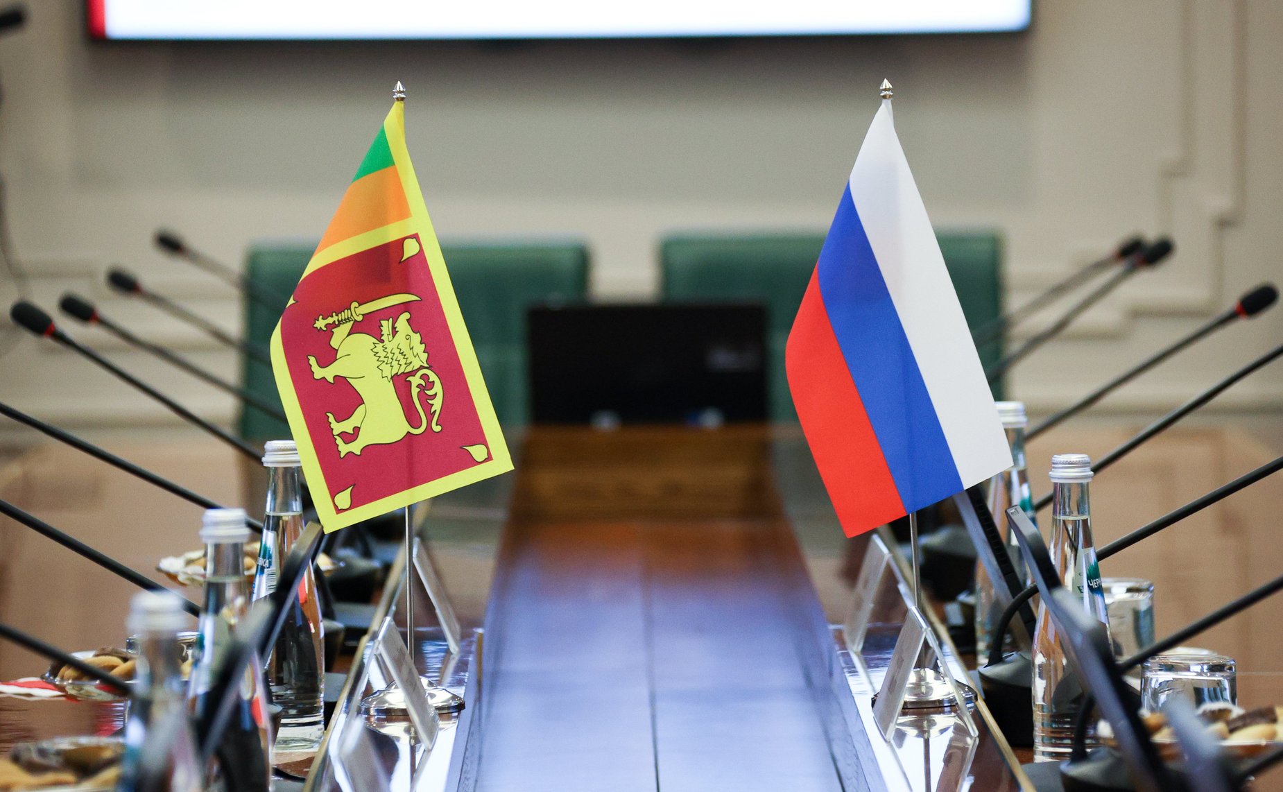 Григорий Карасин провел рабочую встречу с Чрезвычайным и Полномочным Послом Демократической Социалистической Республики Шри-Ланка в РФ Шобини Каушалой Гунасекерой