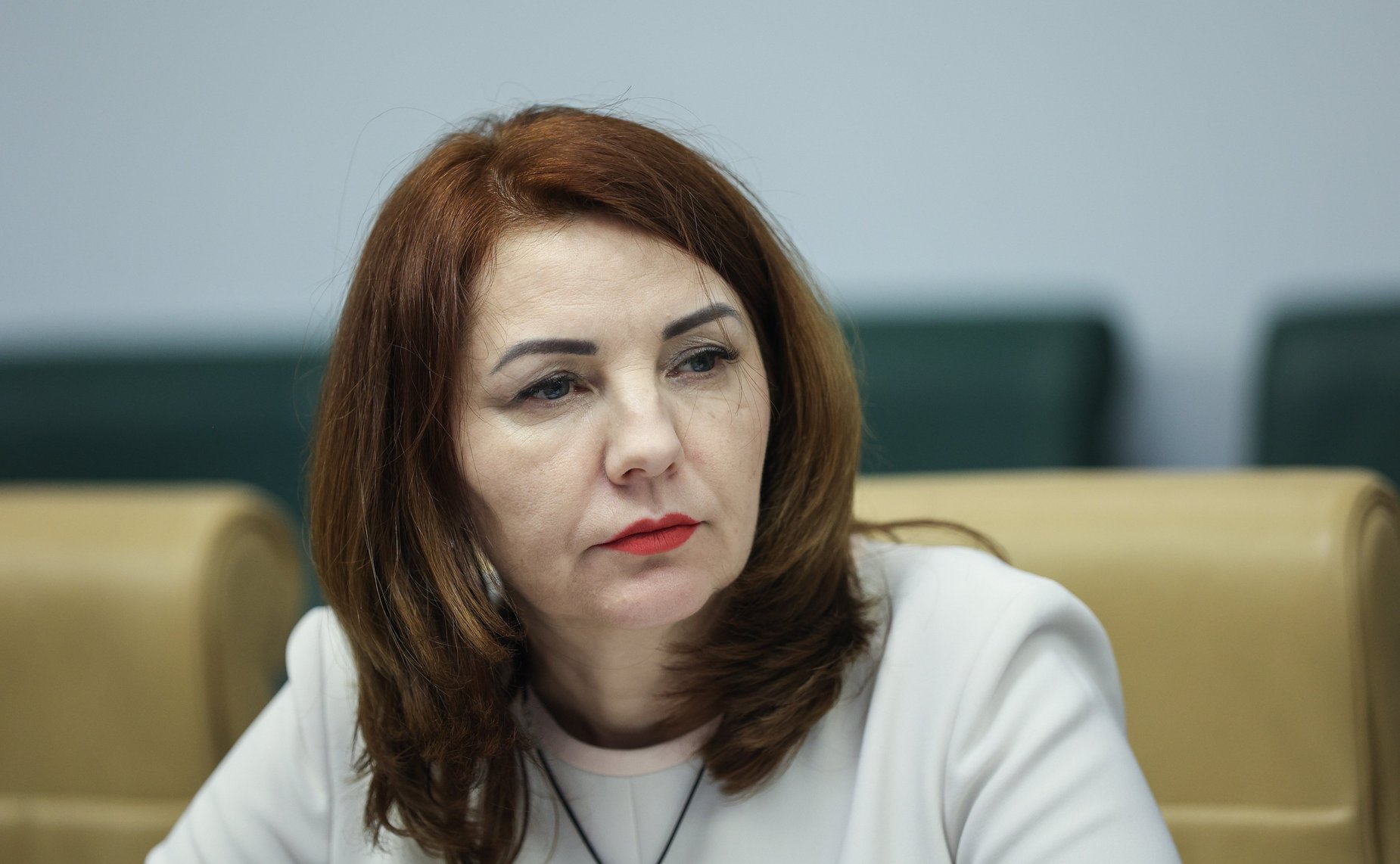 Круглый стол Комитета СФ по федеративному устройству, региональной политике, МСУ и делам Севера