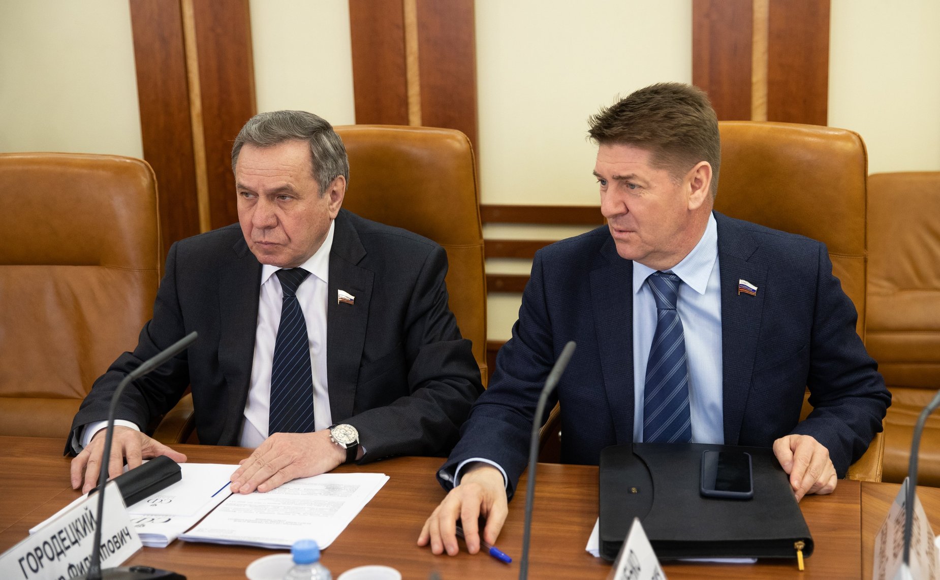 Заседание Комитета СФ по федеративному устройству, региональной политике, местному самоуправлению и делам Севера