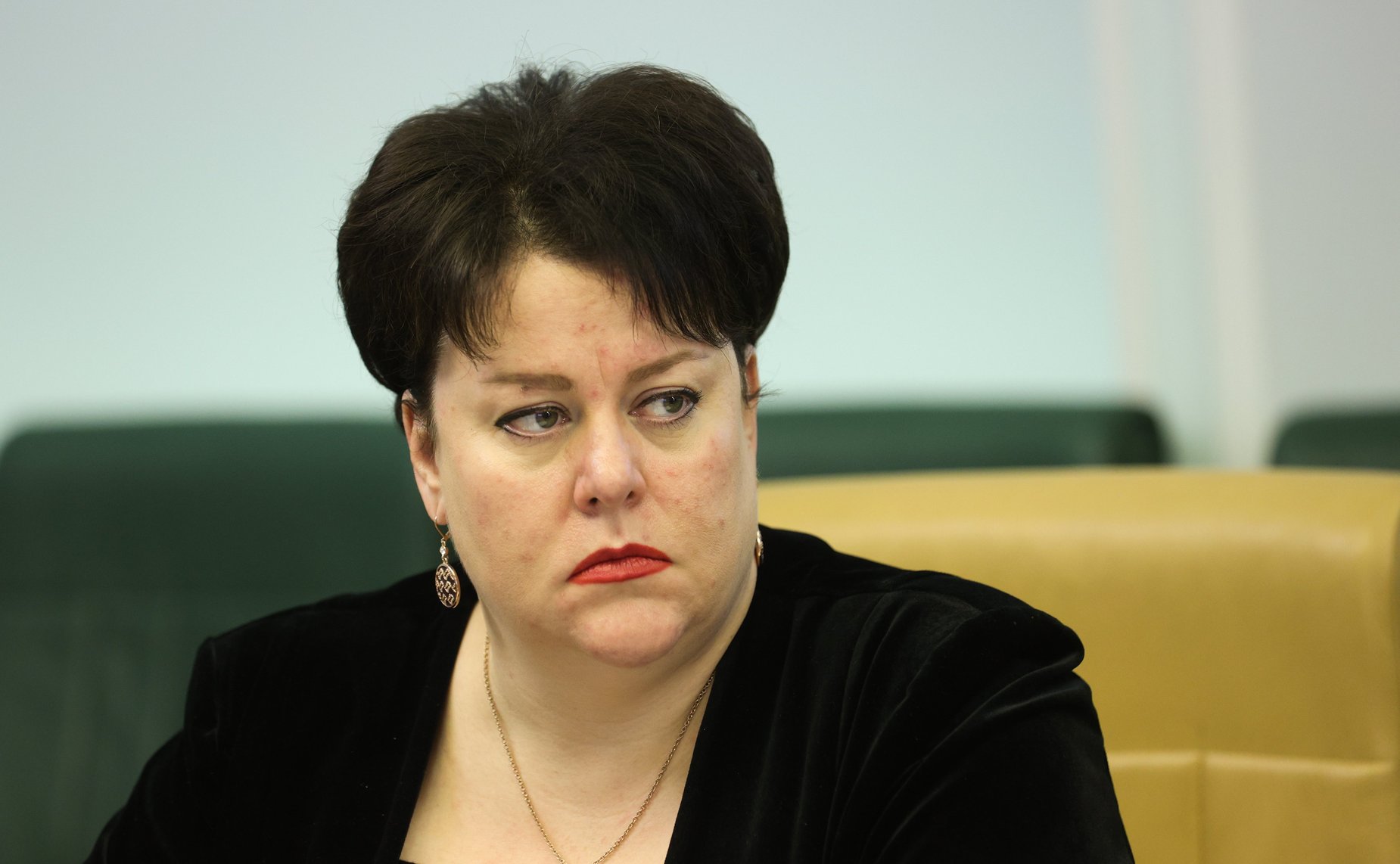 Совещание Комитета СФ по социальной политике