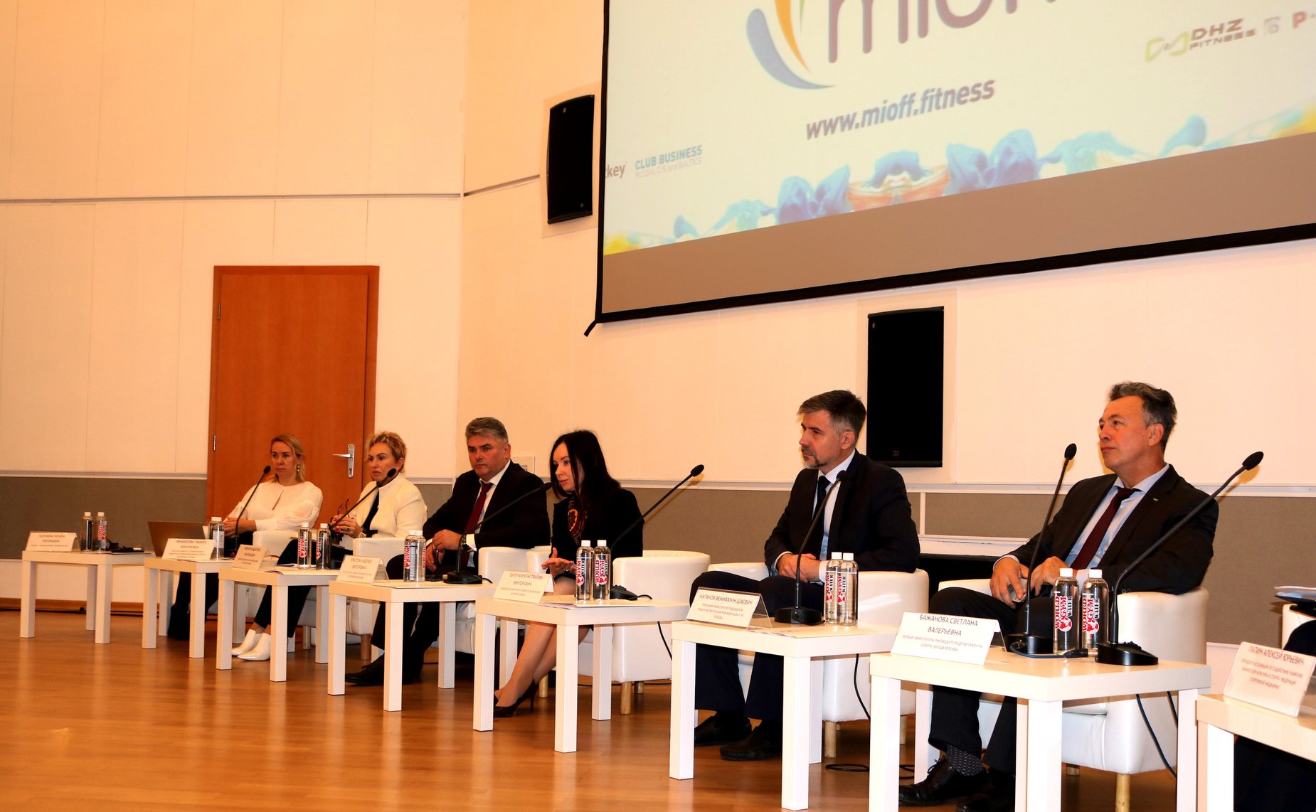 Заседание Экспертного совета по физической культуре и спорту при Комитете СФ по социальной политике