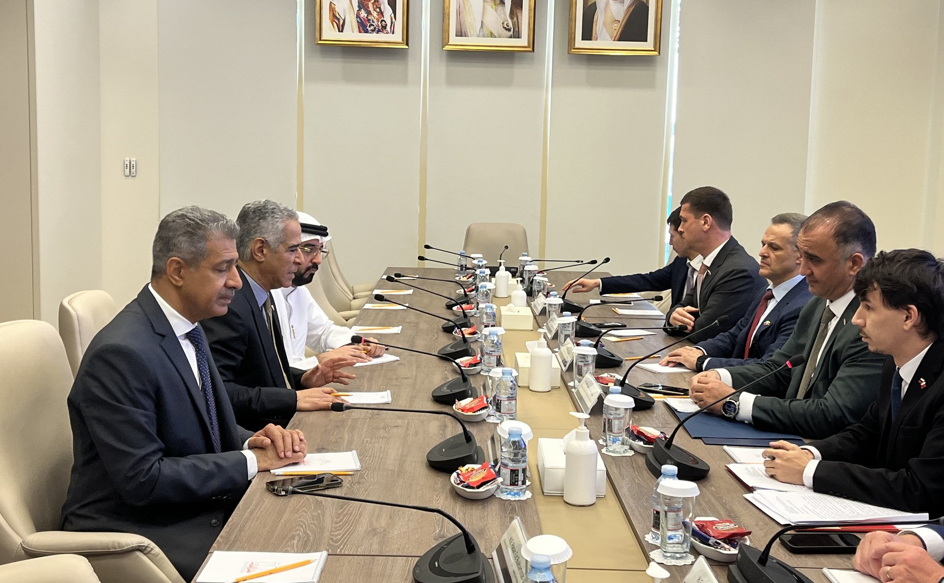 Заседание группы по сотрудничеству Совета Федерации с Консультативным советом Национального Собрания Бахрейна