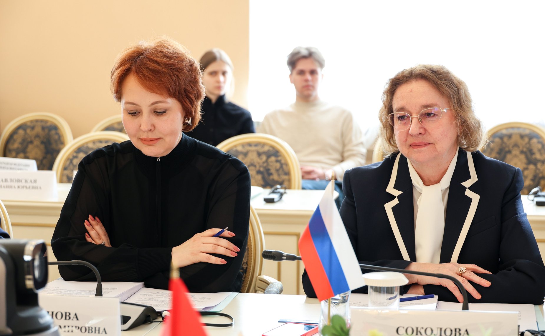 Заседание Постоянной комиссии МПА СНГ по социальной политике и правам человека