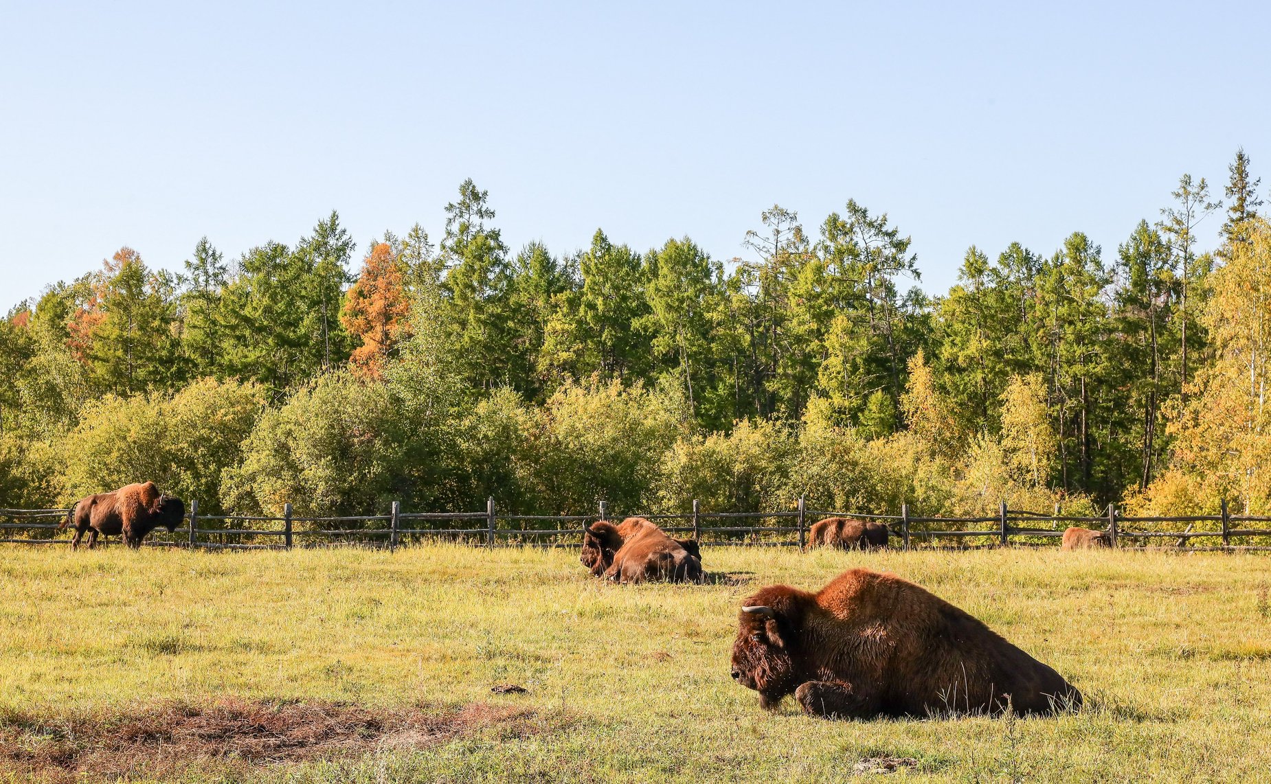 Сенаторы РФ в рамках выездного совещания Комитета СФ по федеративному устройству, региональной политике, местному самоуправлению и делам Севера посетили Национальный парк Ленские столбы