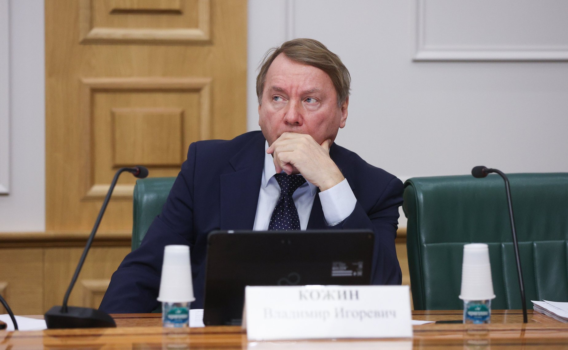 Владимир Кожин