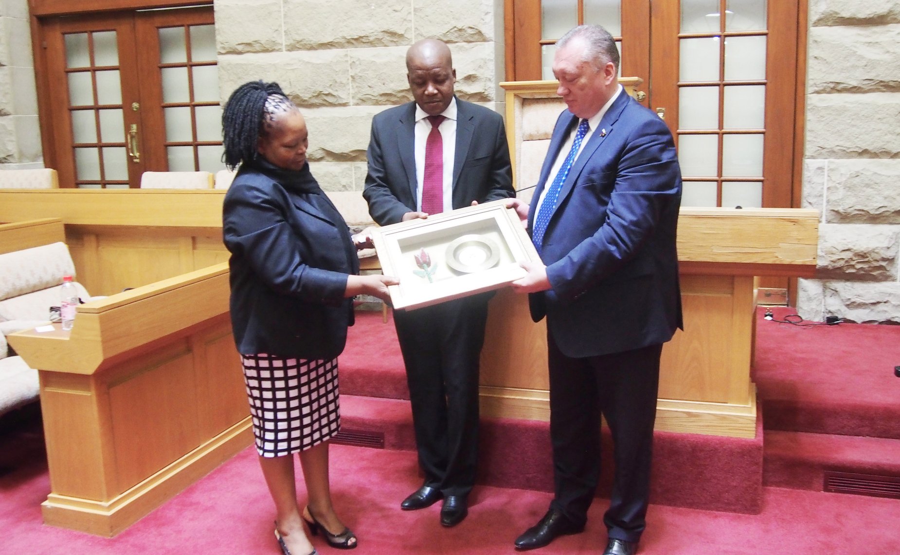 Визит делегации СФ в ЮАР