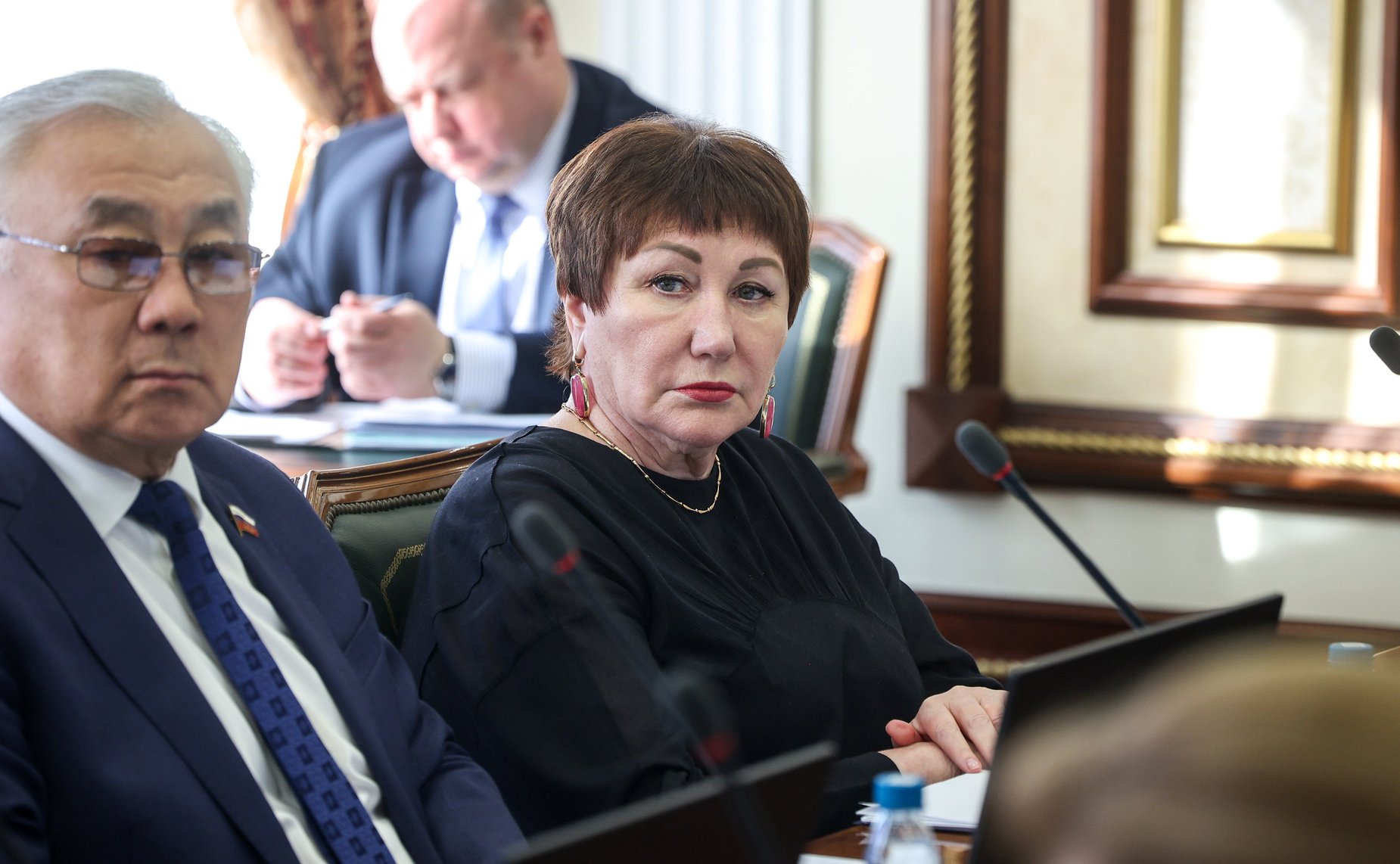 Заседание Комитета Совета Федерации по международным делам