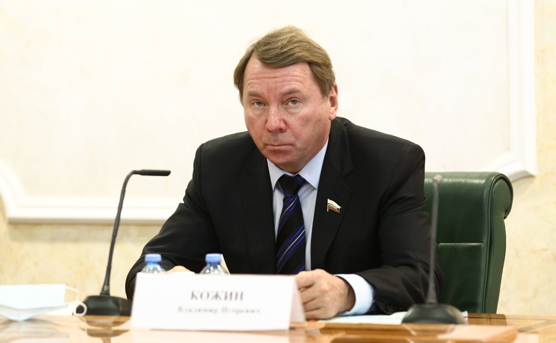 Владимир Кожин