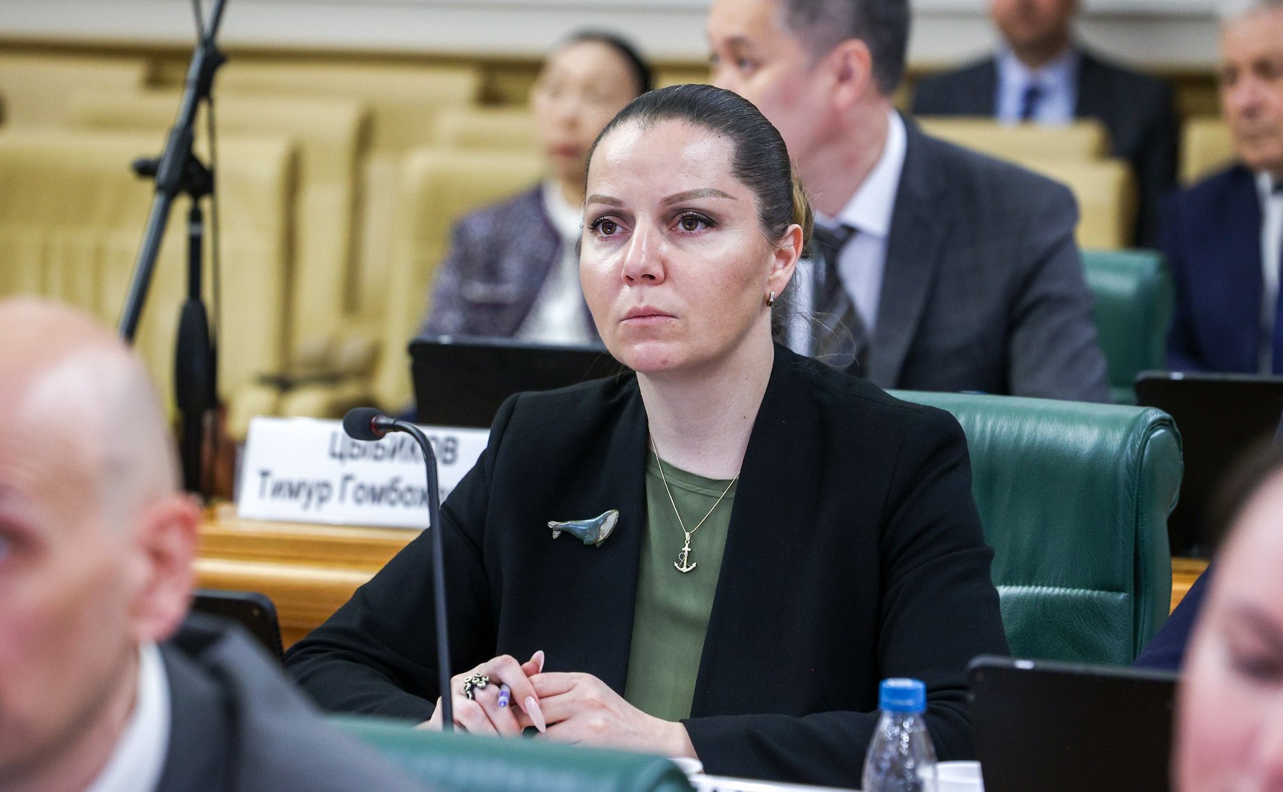 Заседание Комитета Совета Федерации по федеративному устройству, региональной политике, местному самоуправлению и делам Севера