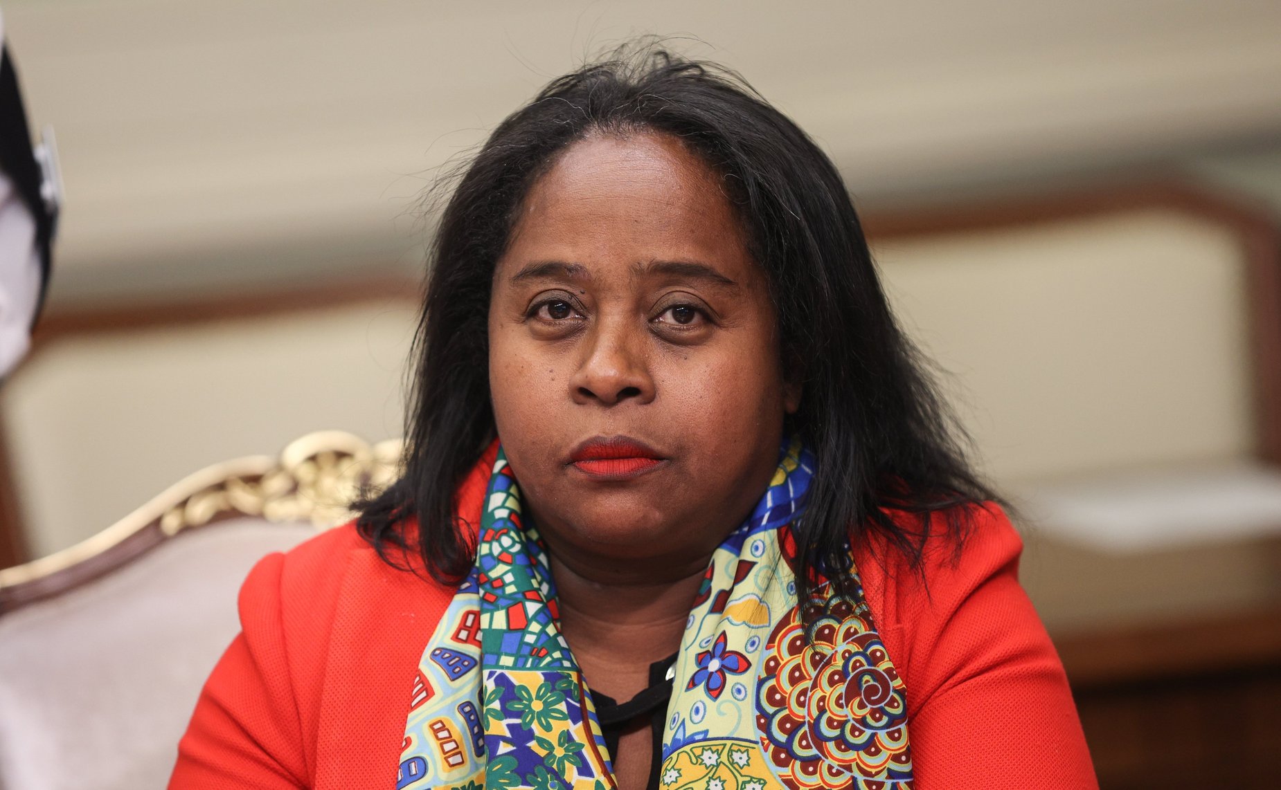 Встреча заместителя Председателя СФ Константина Косачева с членом Президиума Сената Парламента Республики Мадагаскар