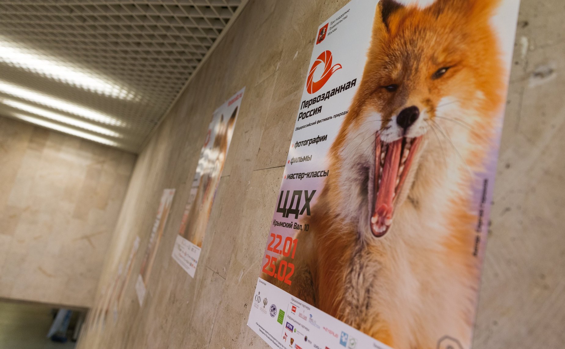 Церемония открытия III Общероссийского фестиваля природы «Первозданная Россия»