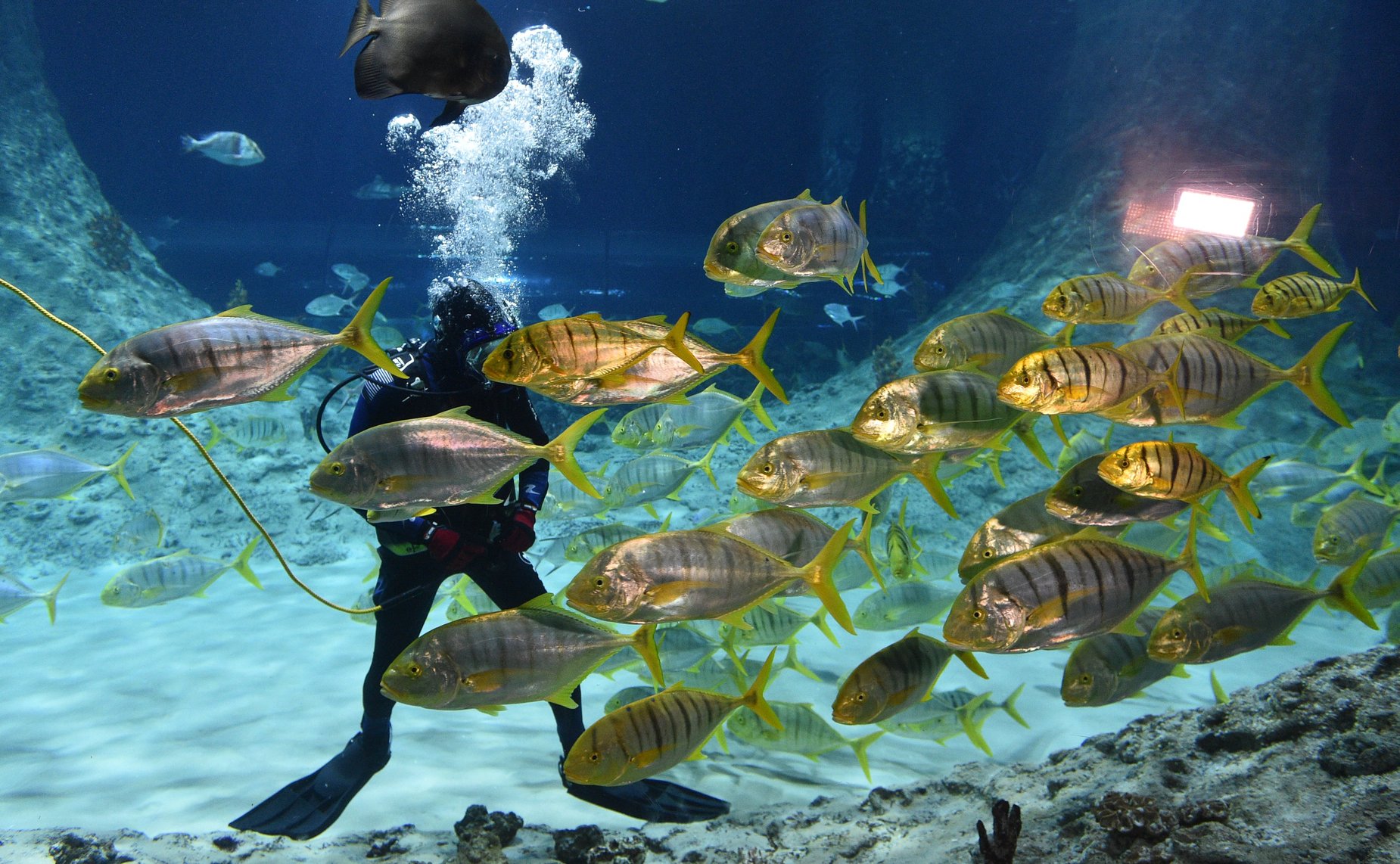 Валентина Матвиенко посетила СКК «Галактика»