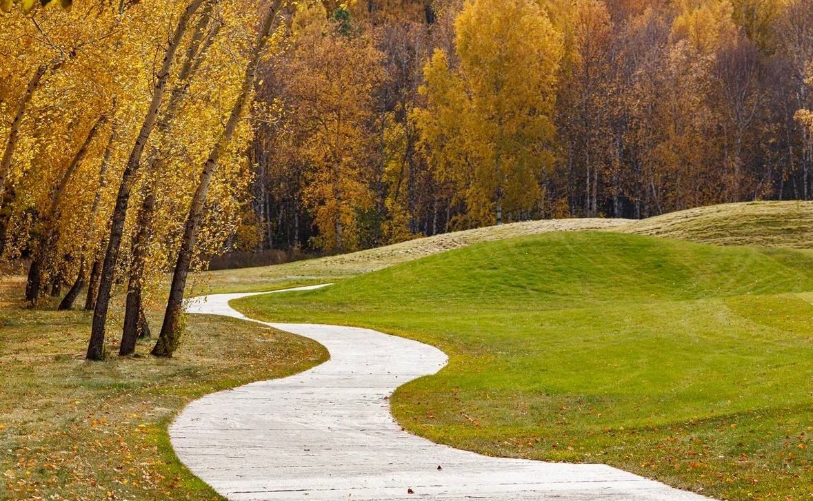 Александр Усс принял участие в высадке деревьев в экопарке «Юдинская долина»