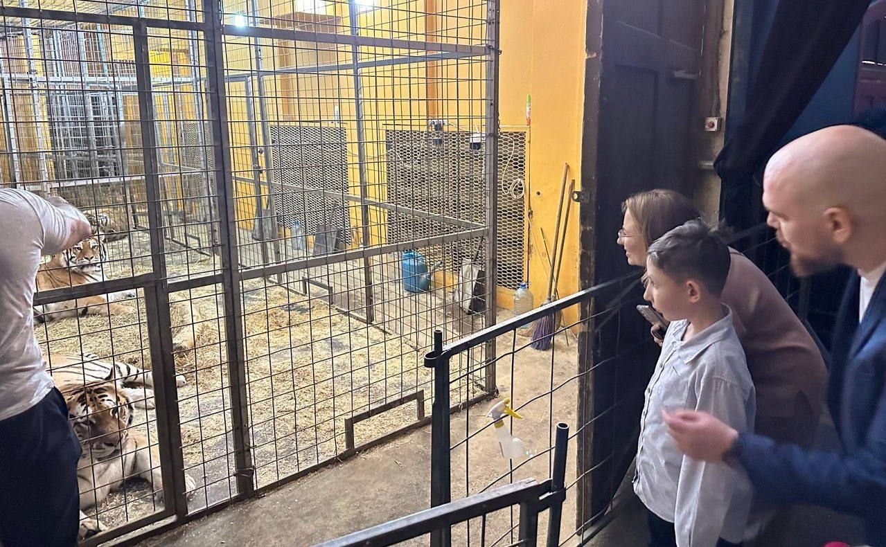 Двенадцатилетний Дмитрий из Ленинградской области, шар с идеей которого с «Елки желаний» в Совете Федерации достался сенатору от региона Сергею Перминову, уже смог осуществить свою мечту