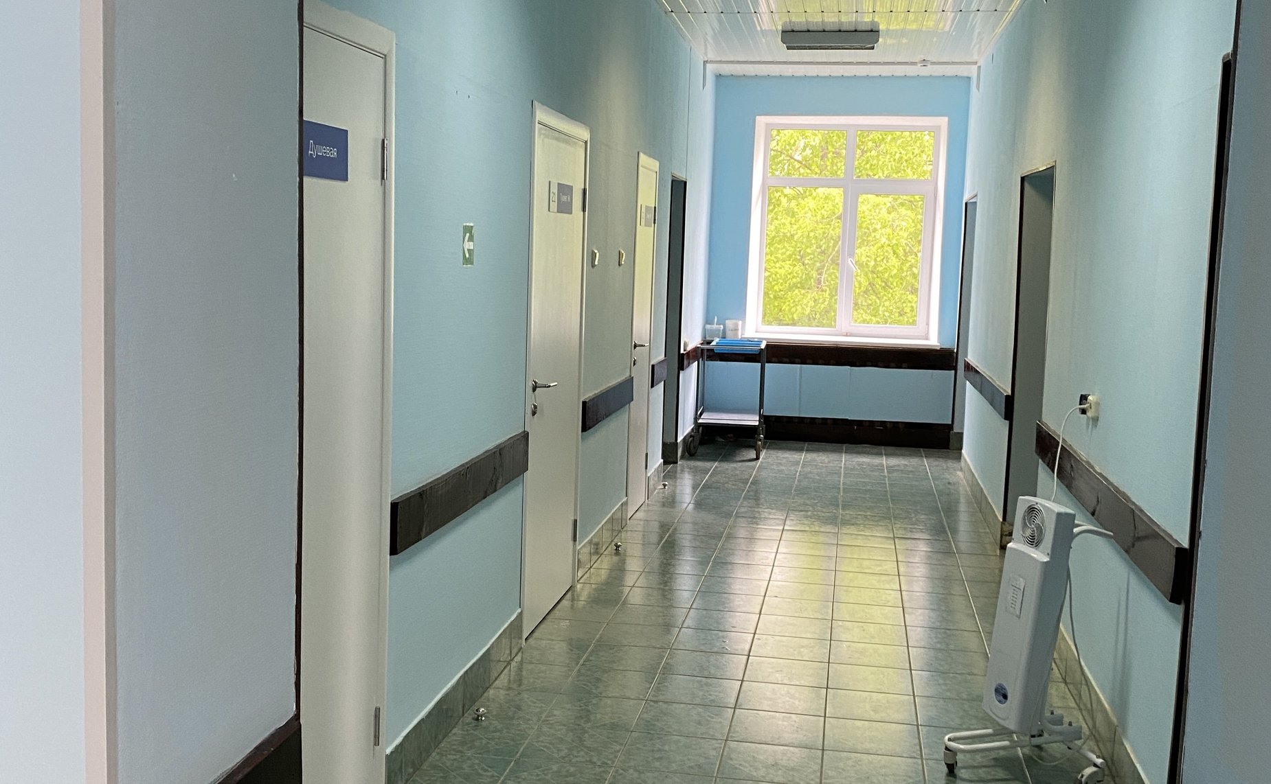 Елена Бибикова посетила Палкинский и Островский районы