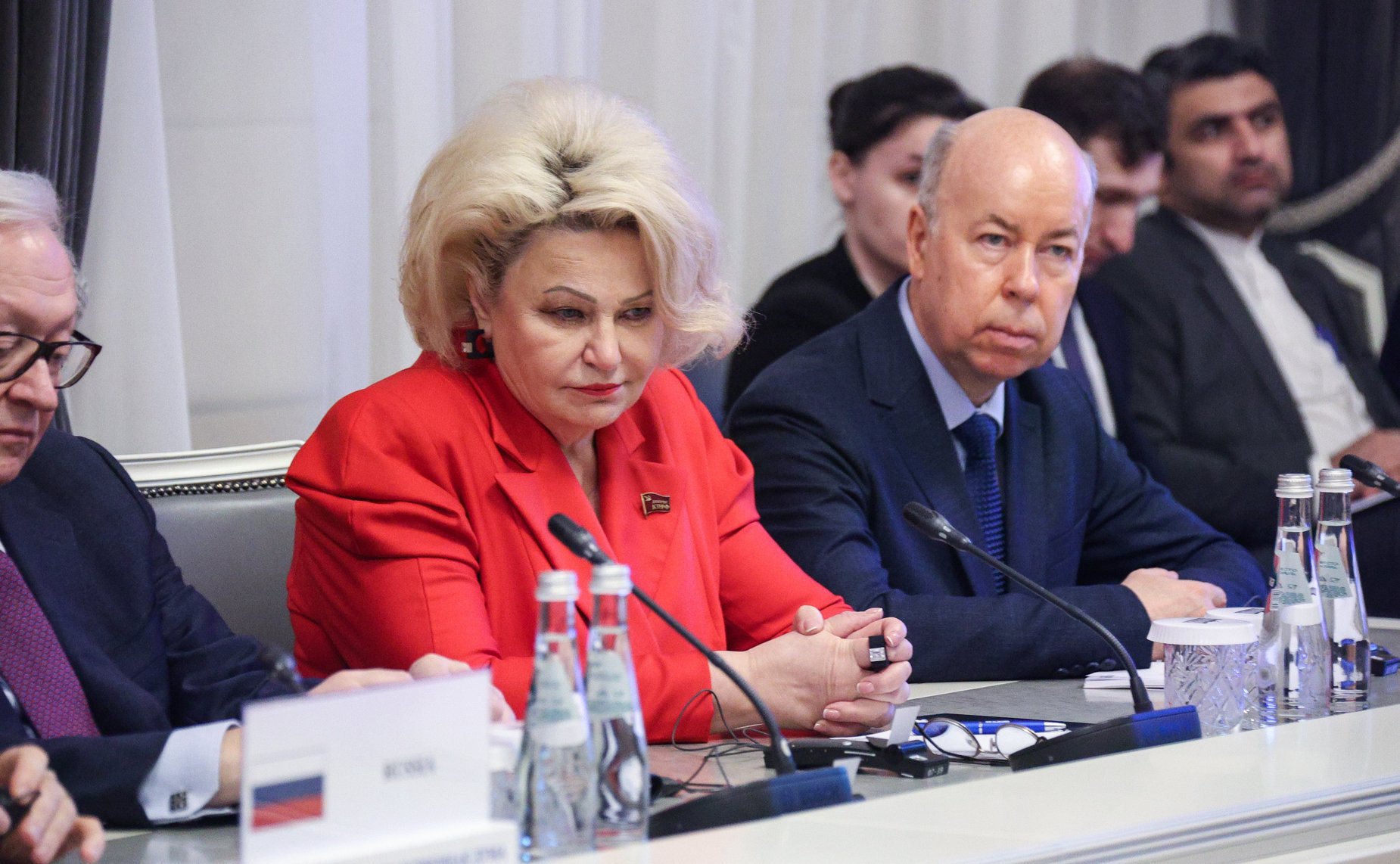 Встреча председателей комитетов по международным делам парламентов (палат парламентов) стран БРИКС с Председателем Государственной Думы Вячеславом Володиным