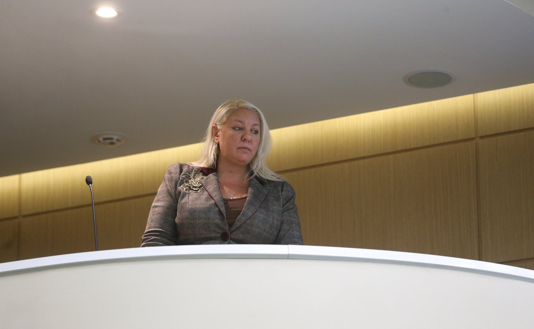 530-е заседание Совета Федерации