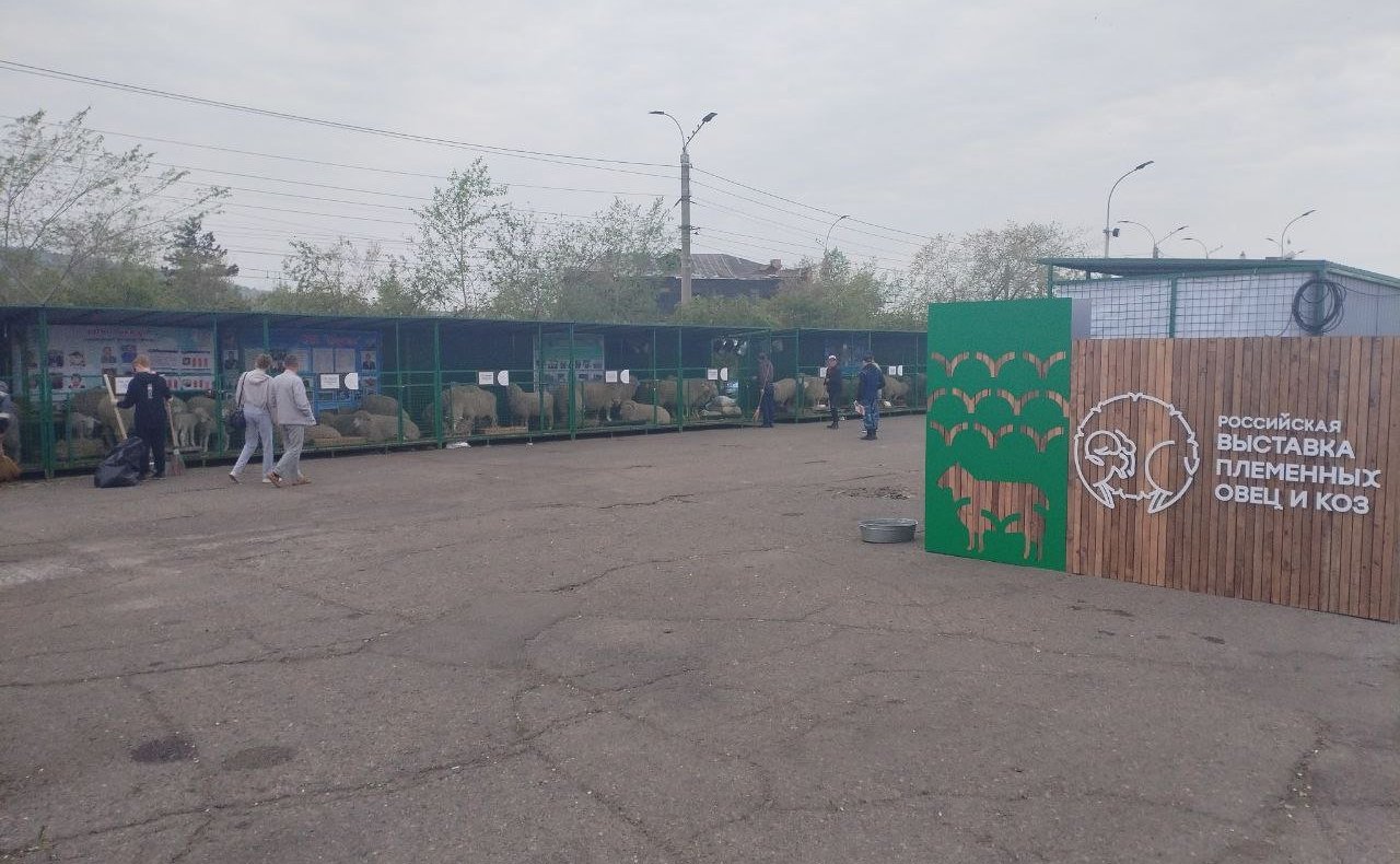Баир Жамсуев посетил второй этап Российской выставки племенных овец и коз в Чите