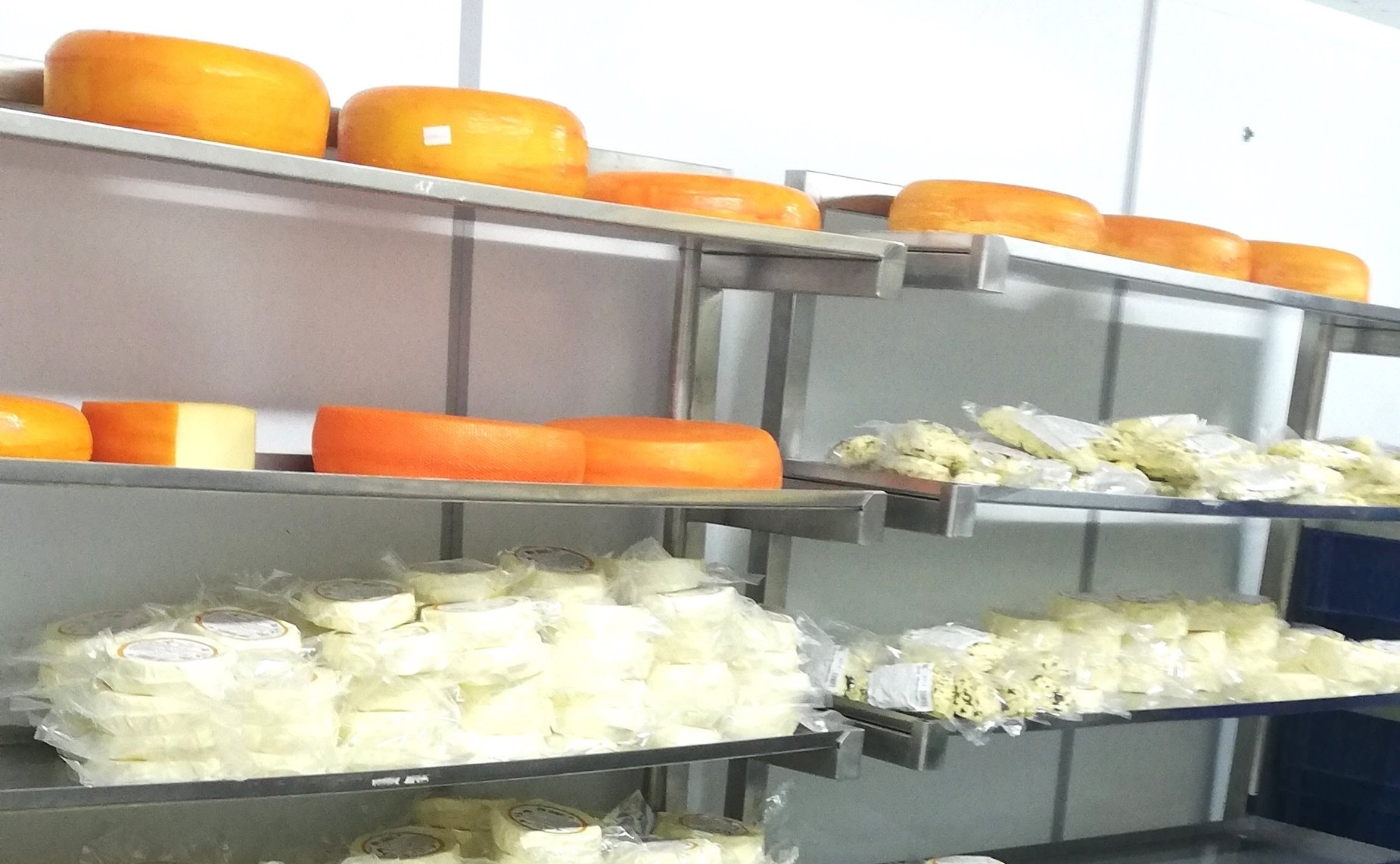 СПК «Абайский» в селе Талда Усть-Косинского района