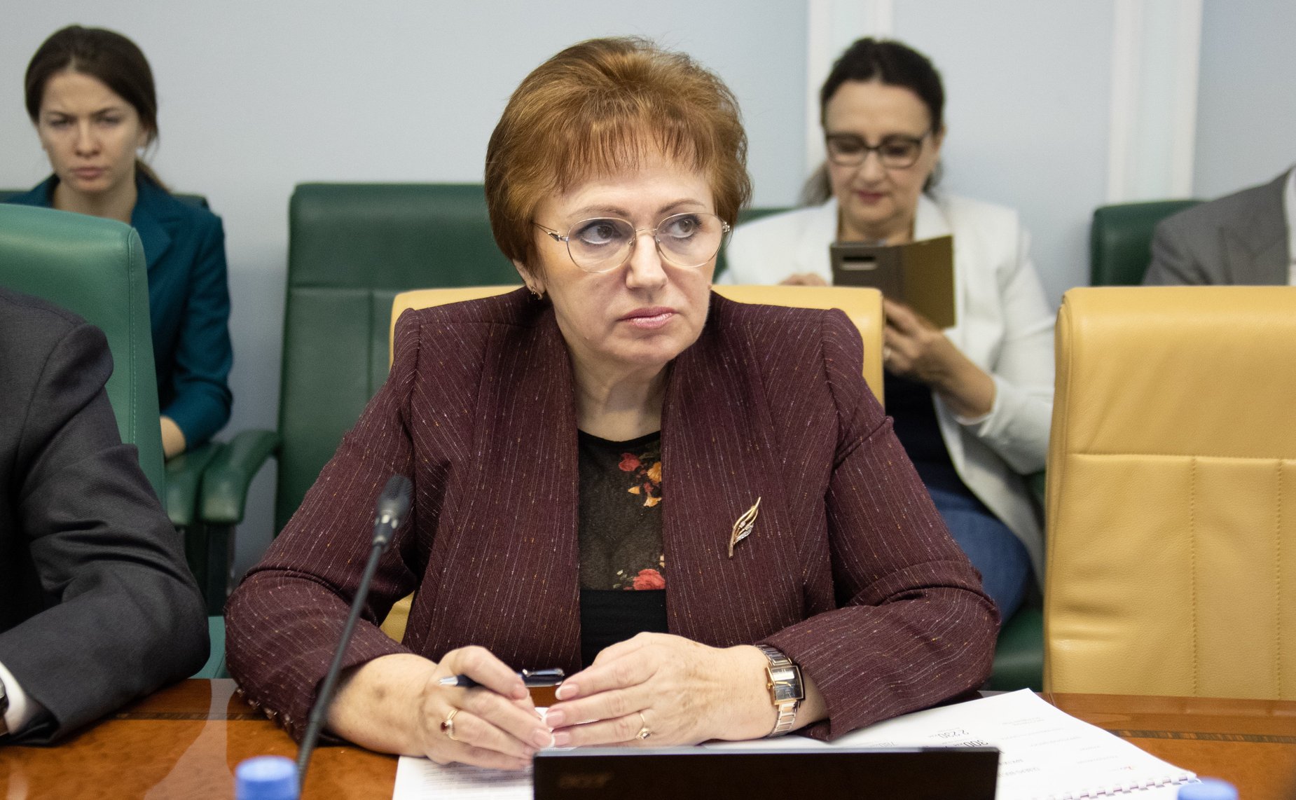 Елена Бибикова