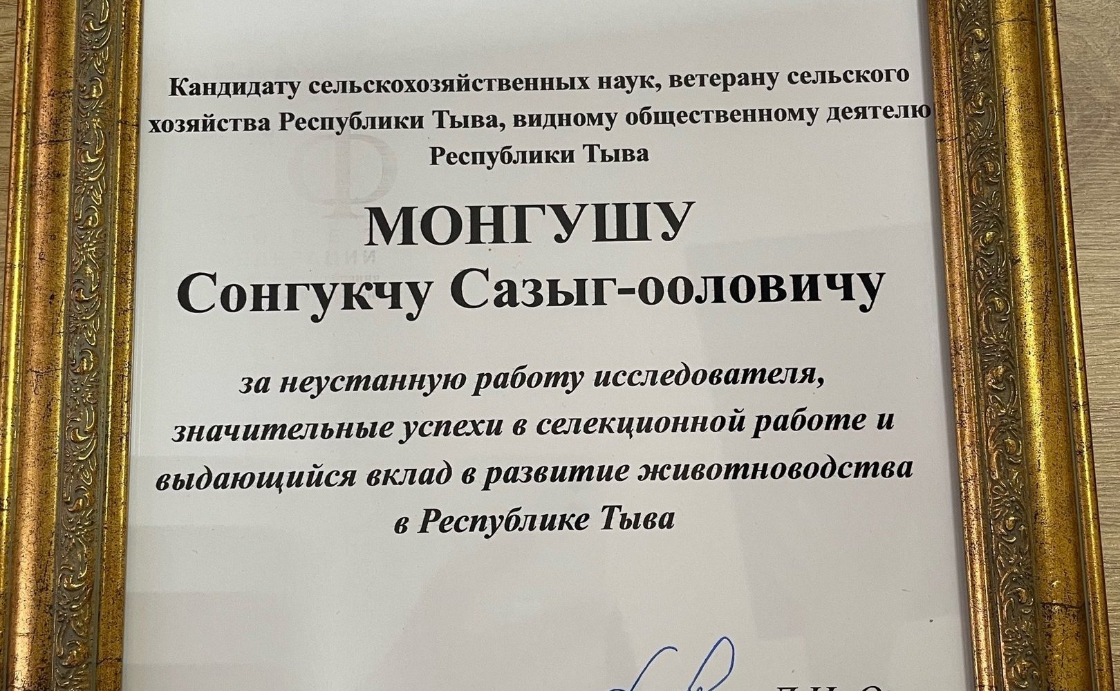 Дина Оюн приняла участие в торжественном собрании научного сообщества Республики Тыва, посвященном Дню российской науки