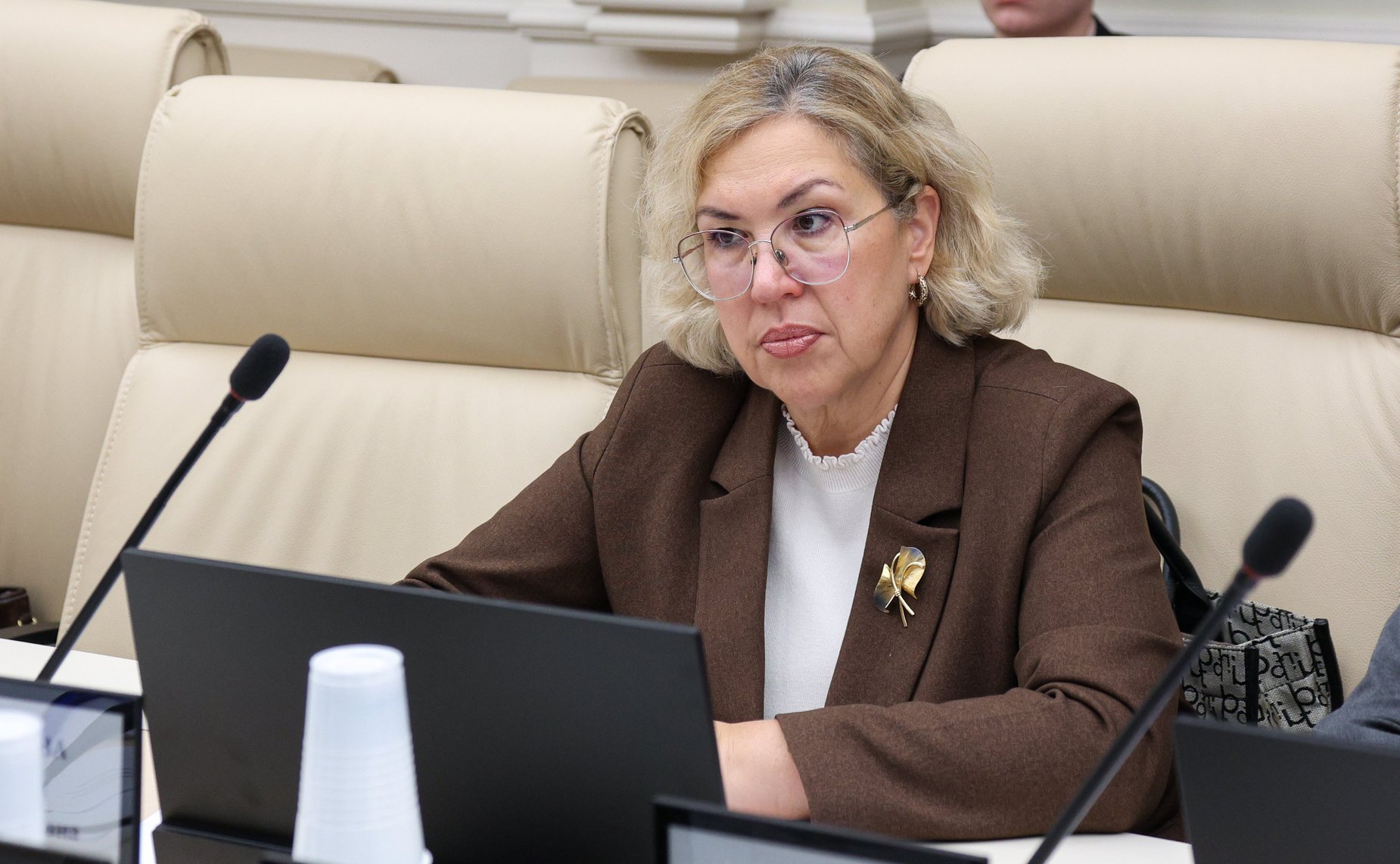 Совещание «Профессиональная этика в деятельности должностных лиц органов публичной власти в субъектах Российской Федерации»