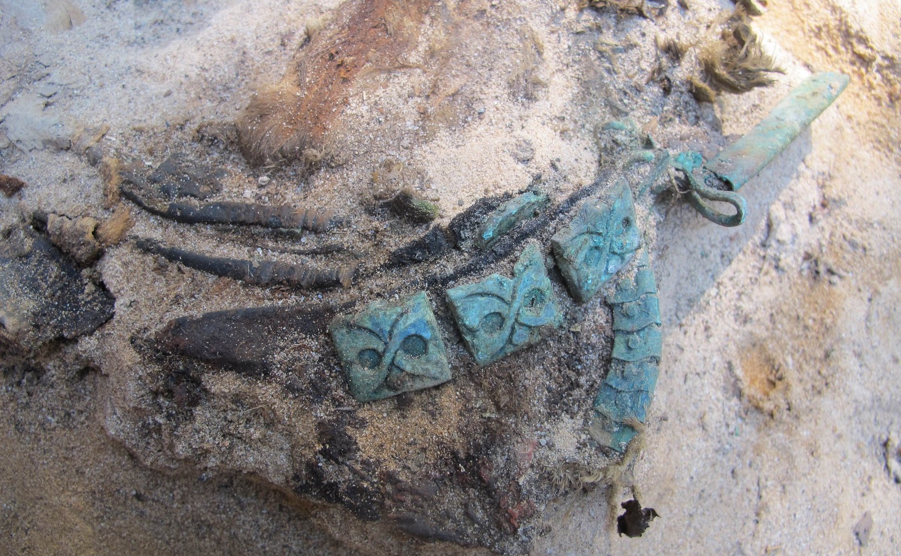 Сергей Мартынов посетил Марийский НИИЯЛИ