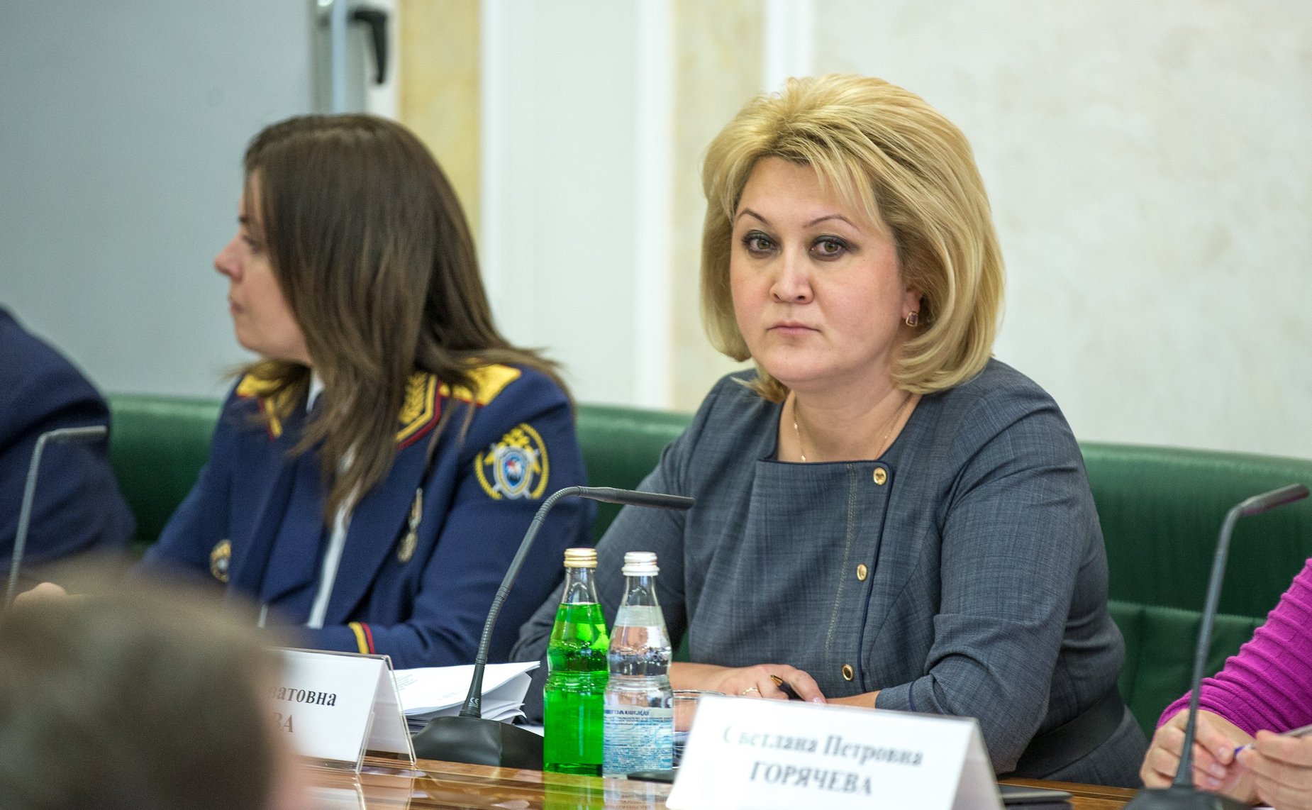 Публичное обсуждение проекта федерального закона, касающегося придания государственного статуса программе по установкам беби-боксов