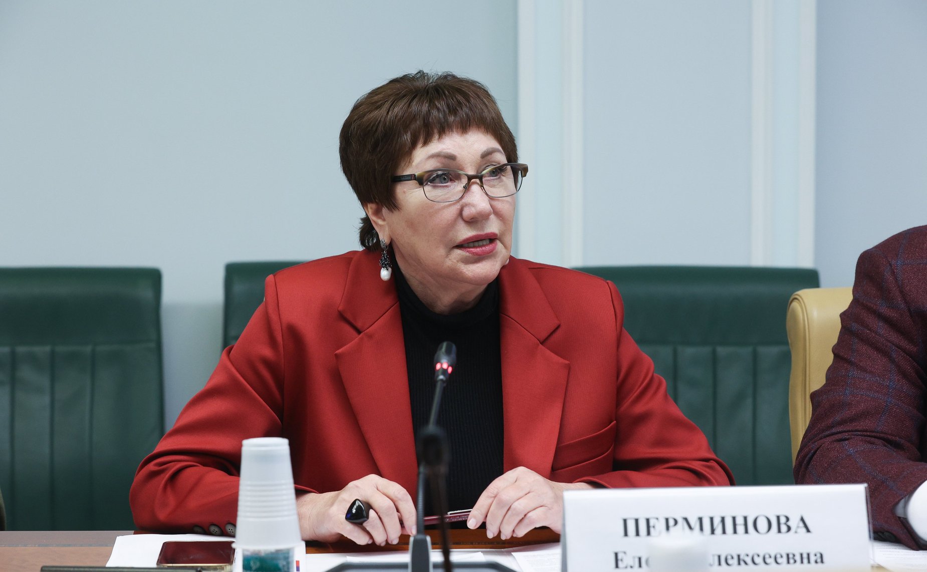 Елена Перминова