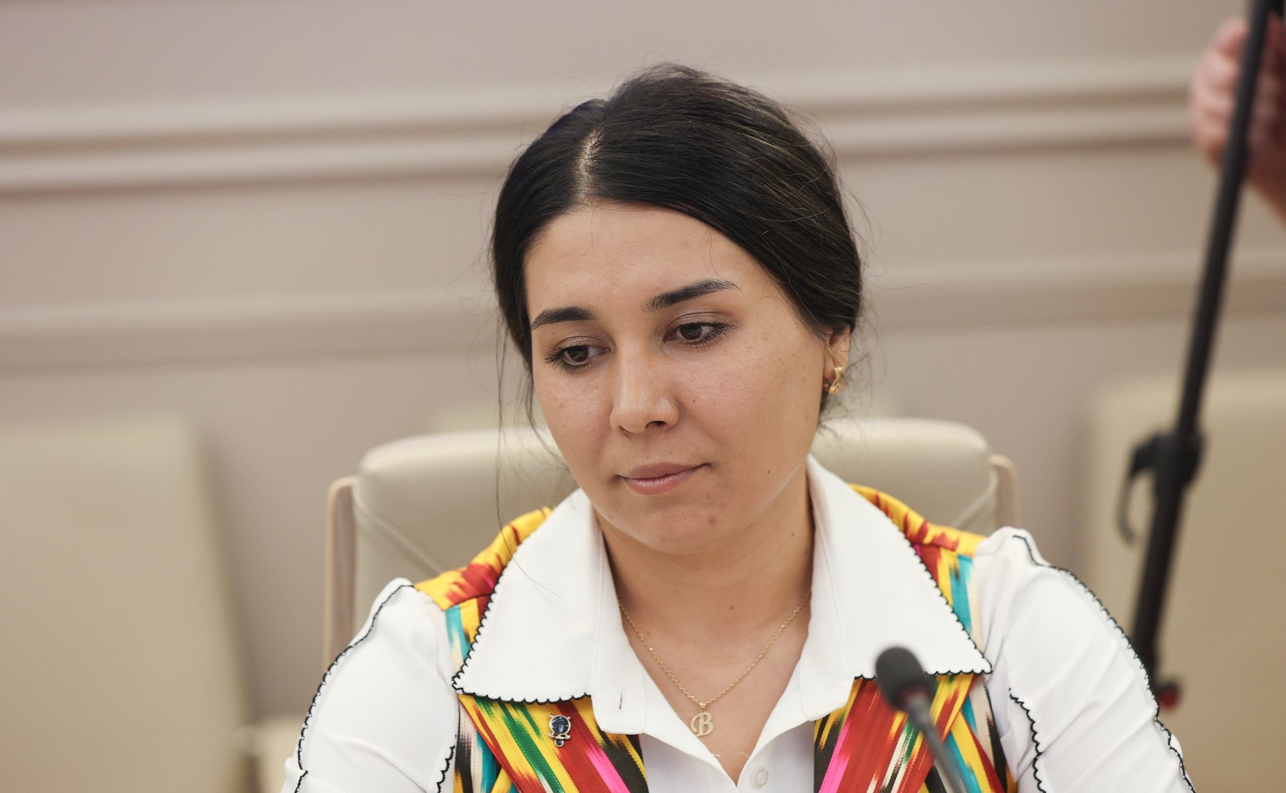 Встреча Александра Варфоломеева с участниками Международной школы дипломатии и членами Палаты молодых законодателей при Совете Федерации