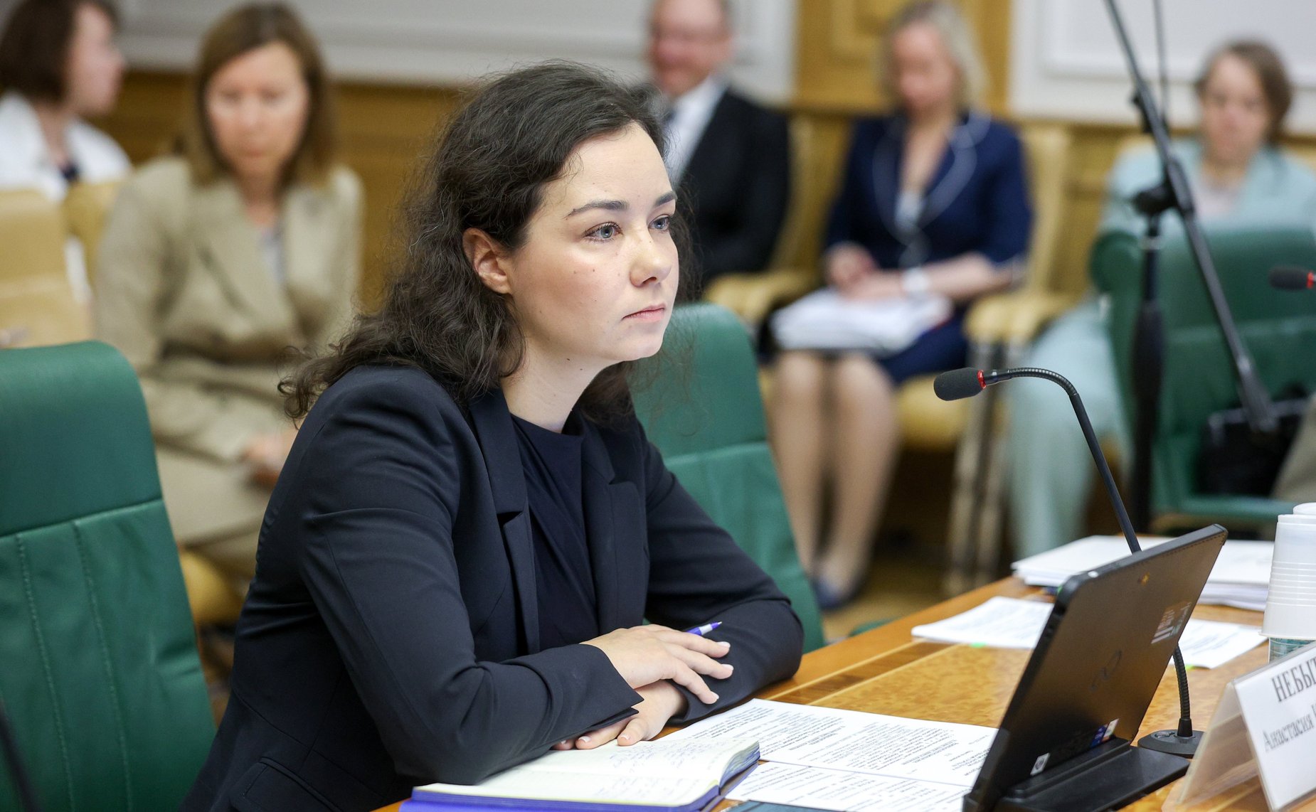 Заседание Комитета Совета Федерации по конституционному законодательству и государственному строительству